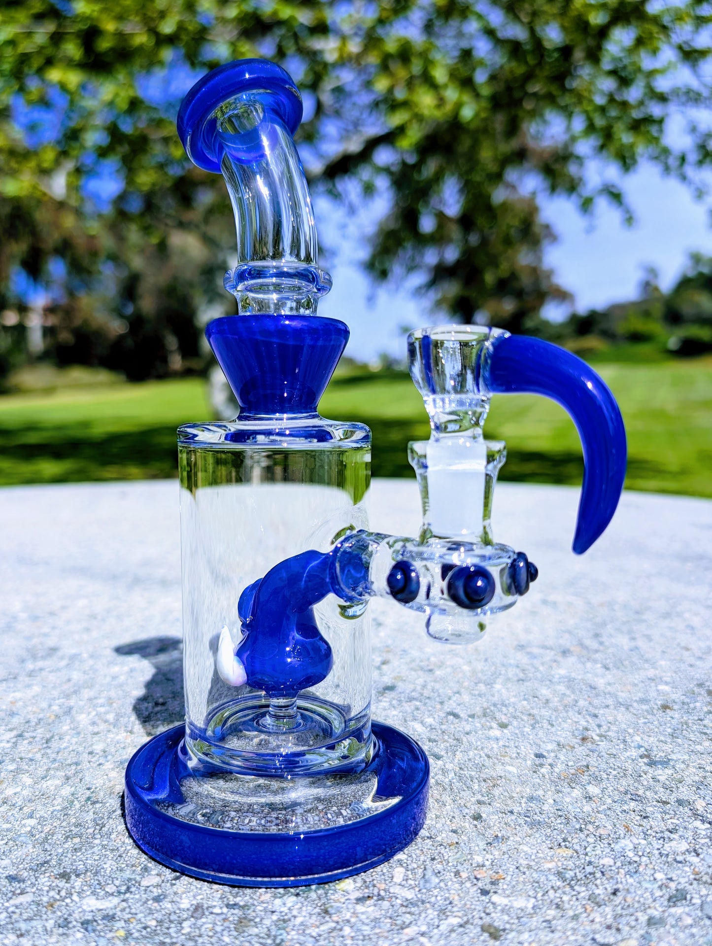 8" Cobalt Cyclops Rig & Matching Screen Filter Bowl