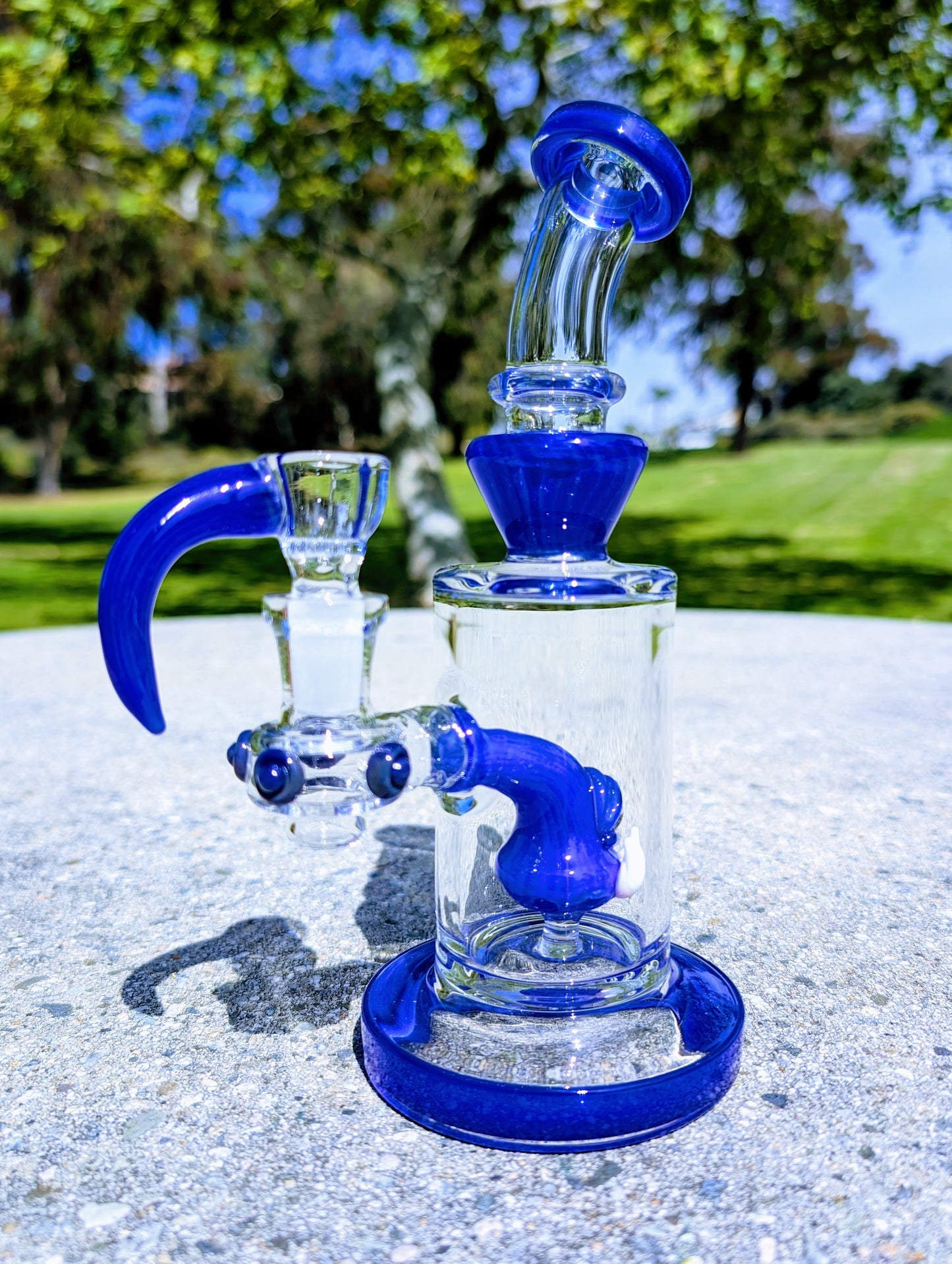 8" Cobalt Cyclops Rig & Matching Screen Filter Bowl