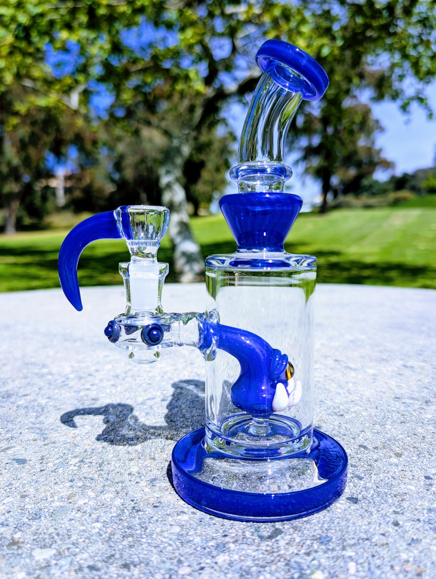 8" Cobalt Cyclops Rig & Matching Screen Filter Bowl