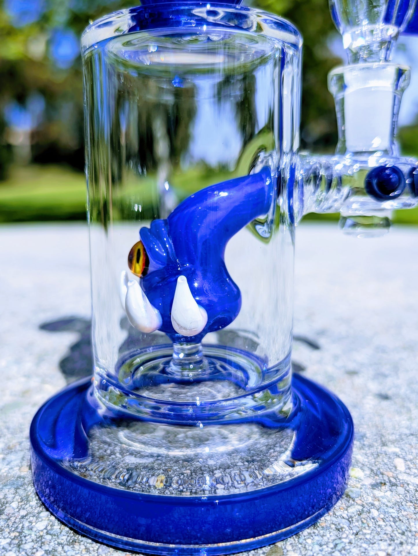 8" Cobalt Cyclops Rig & Matching Screen Filter Bowl