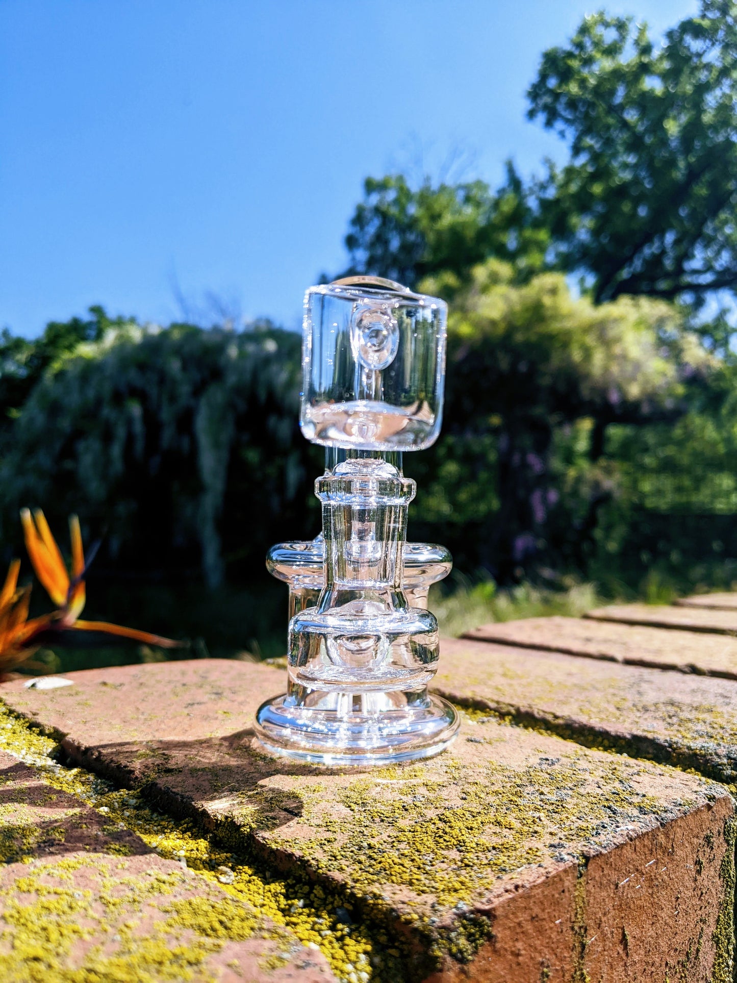 4.5" Mini Banger Hanger Rig