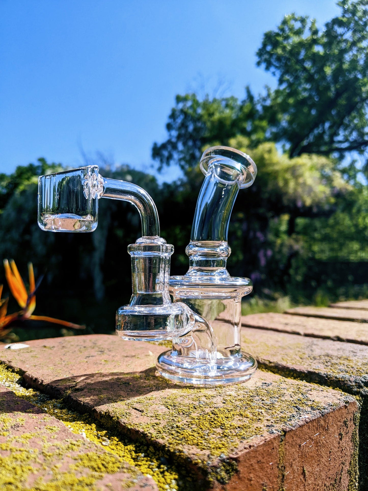 4.5" Mini Banger Hanger Rig