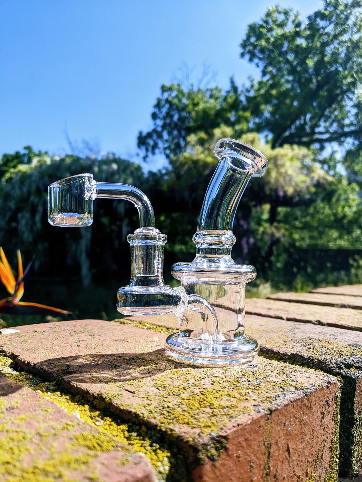 4.5" Mini Banger Hanger Rig