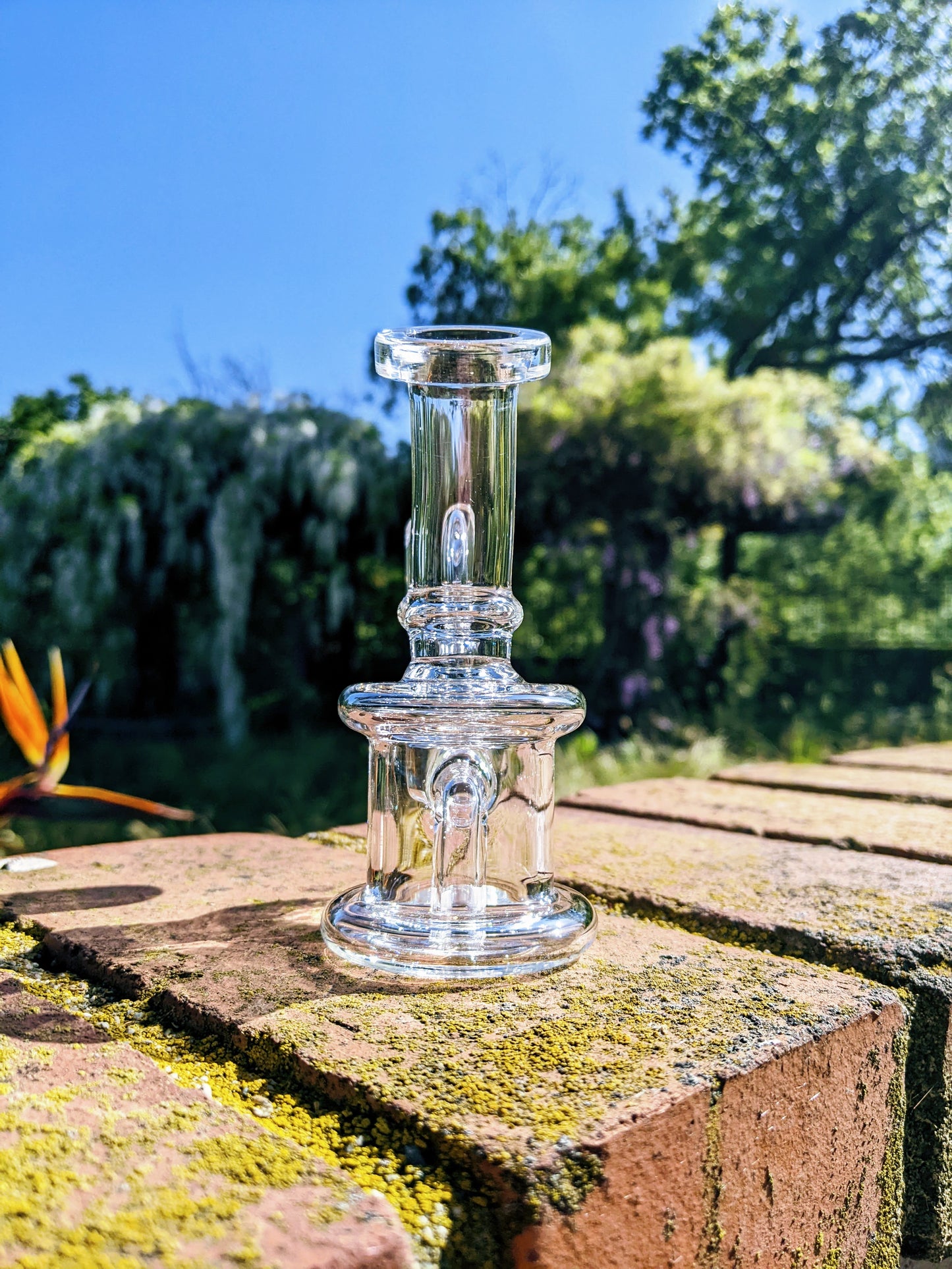 4.5" Mini Banger Hanger Rig