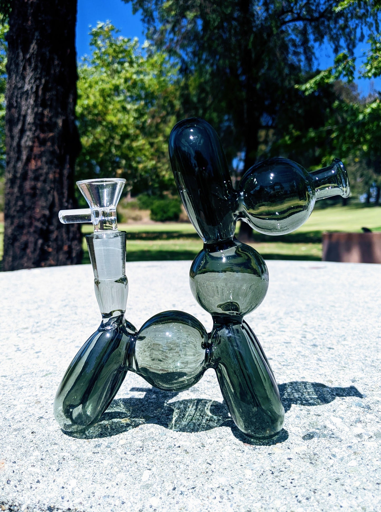 7" Black Good Boy Dog Rig w/ Banger & Bowl Combo