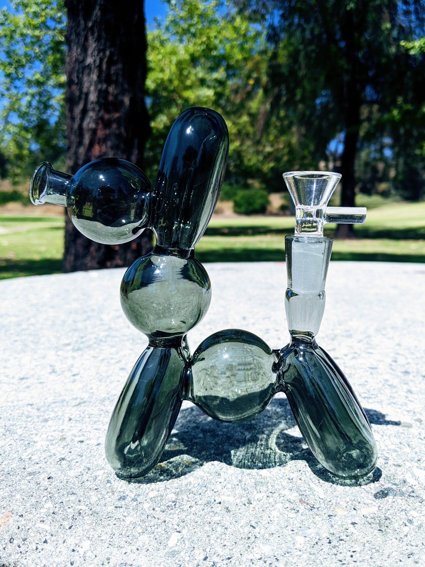 7" Black Good Boy Dog Rig w/ Banger & Bowl Combo