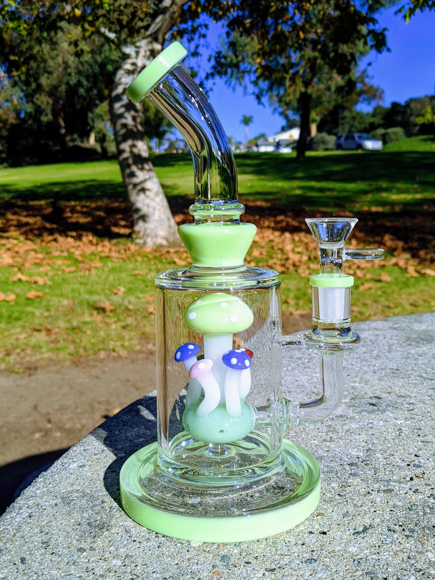 9" Mint Thick Heavy Mushroom Perc Rig