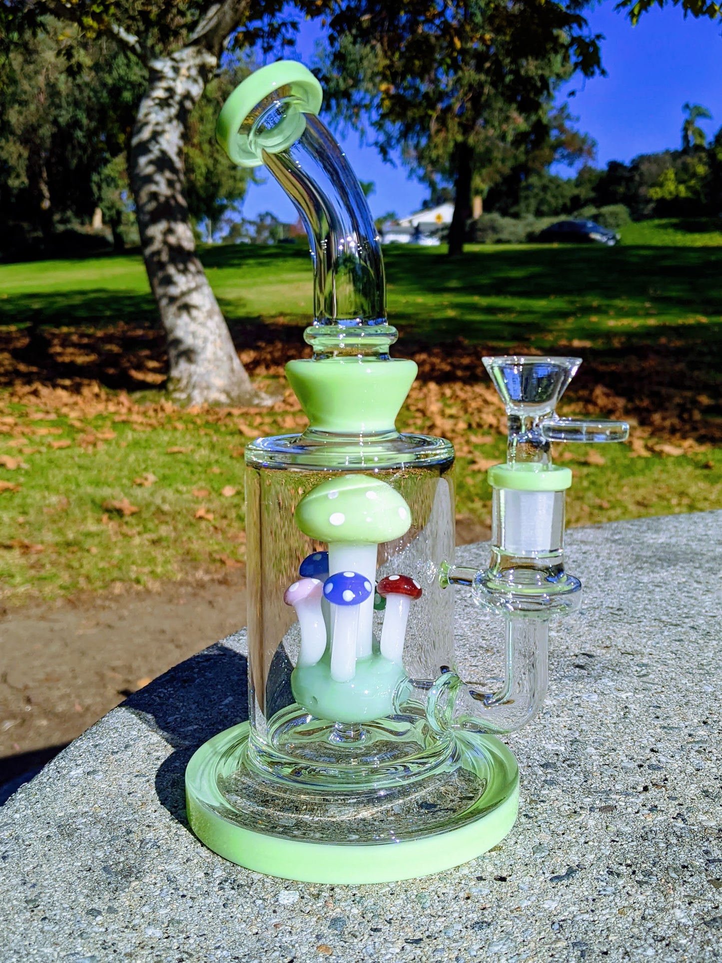 9" Mint Thick Heavy Mushroom Perc Rig