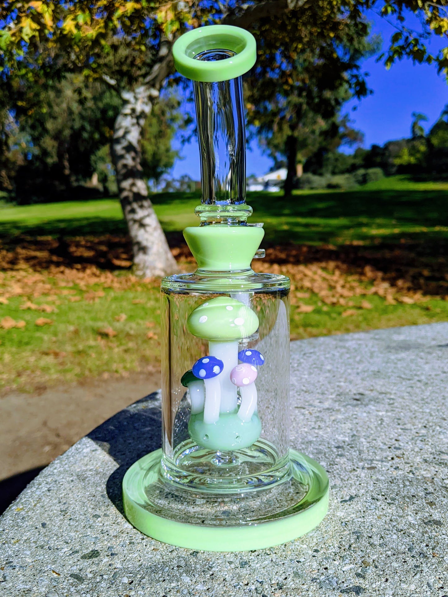 9" Mint Thick Heavy Mushroom Perc Rig