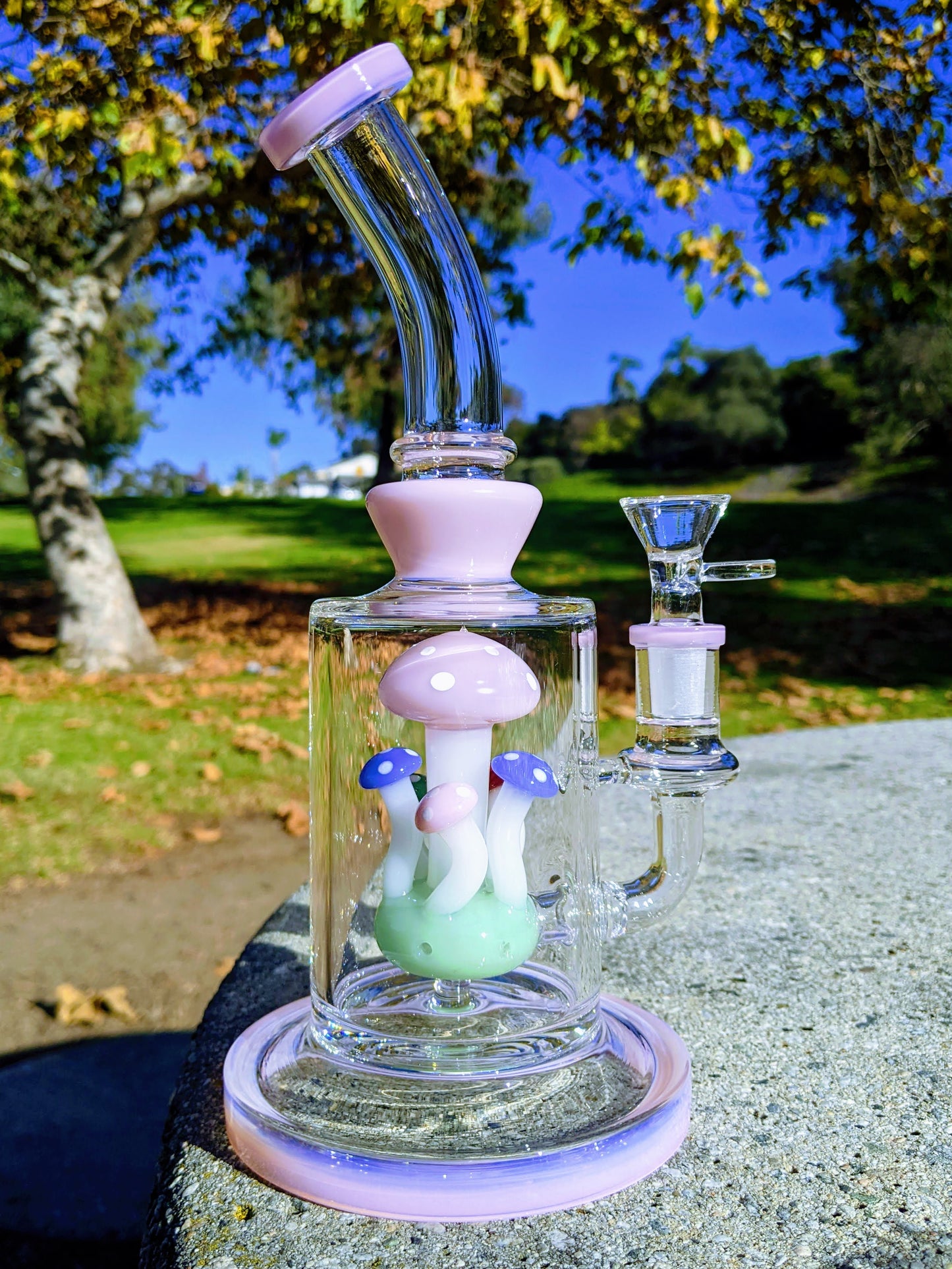 9" Pink Thick Heavy Mushroom Perc Rig