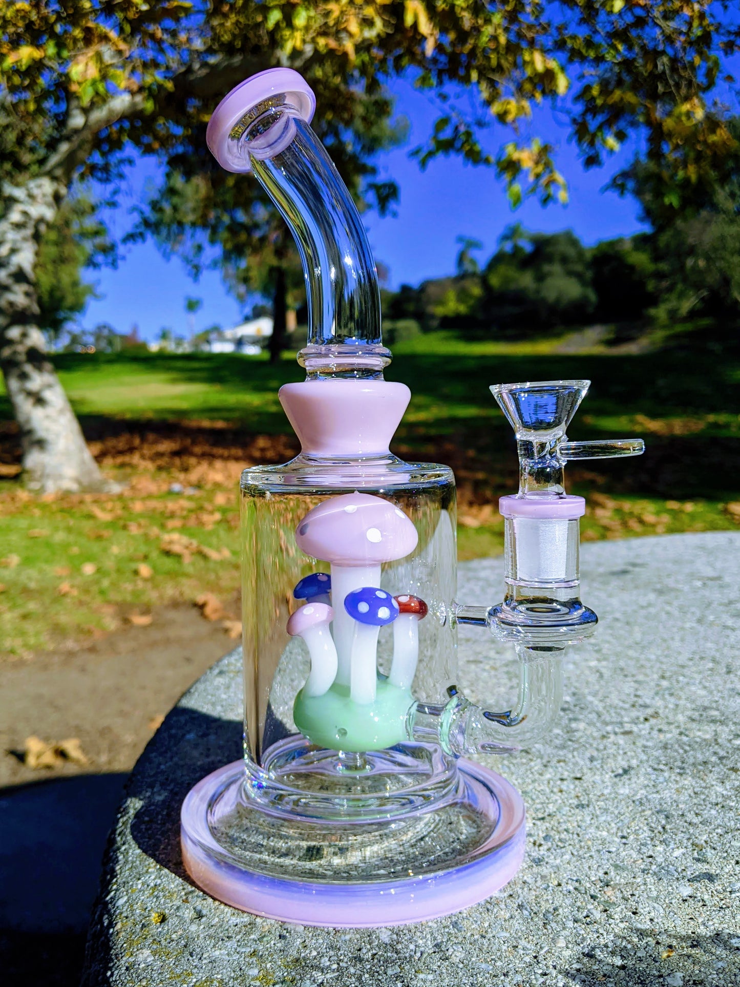 9" Pink Thick Heavy Mushroom Perc Rig