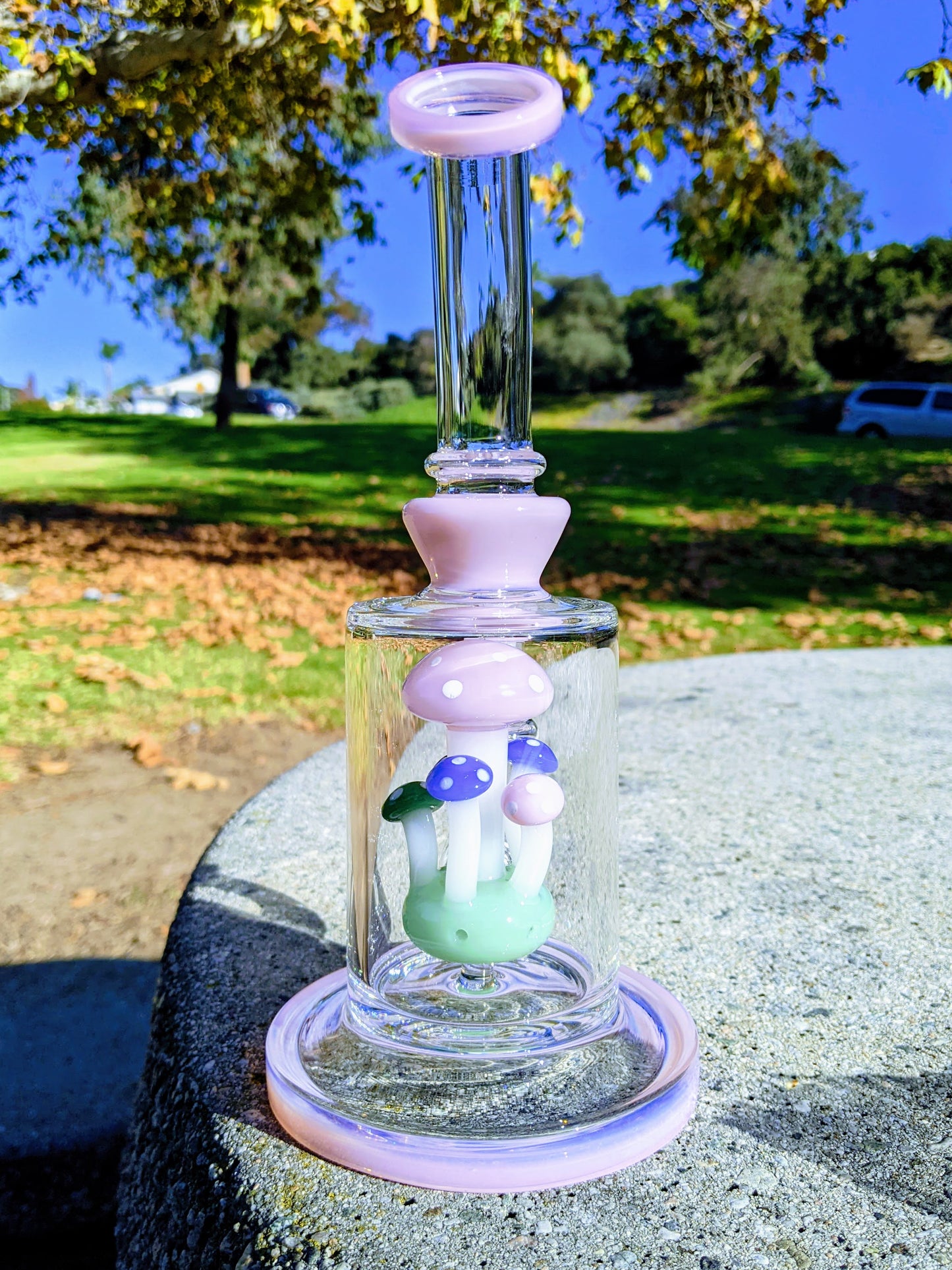 9" Pink Thick Heavy Mushroom Perc Rig