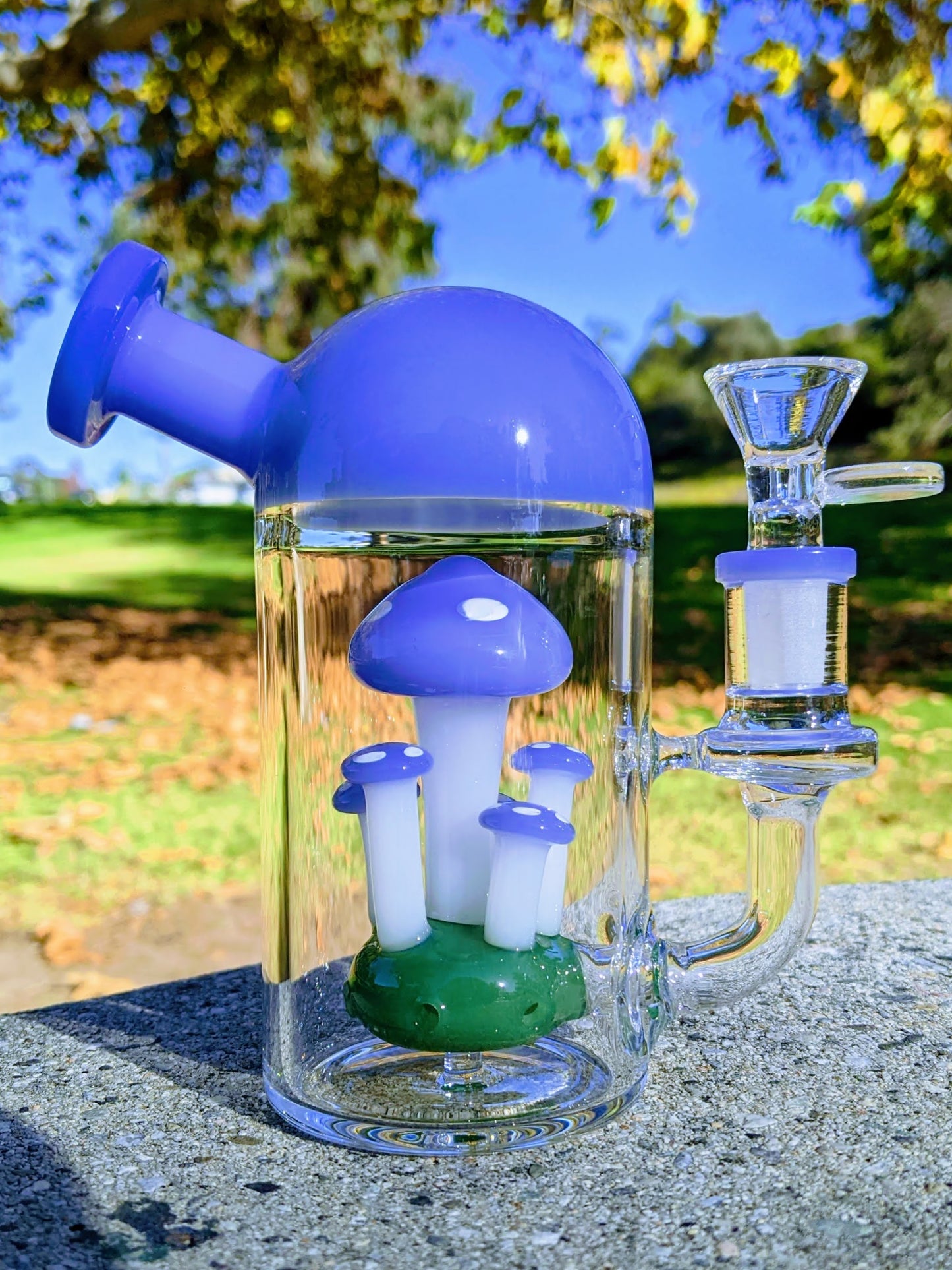 6" Blue Capsule Mushroom Forest Rig