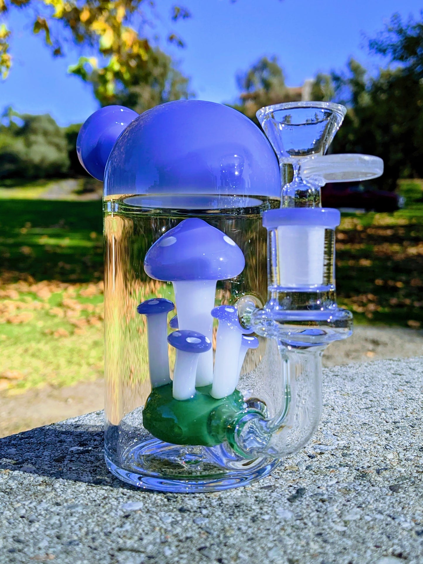 6" Blue Capsule Mushroom Forest Rig