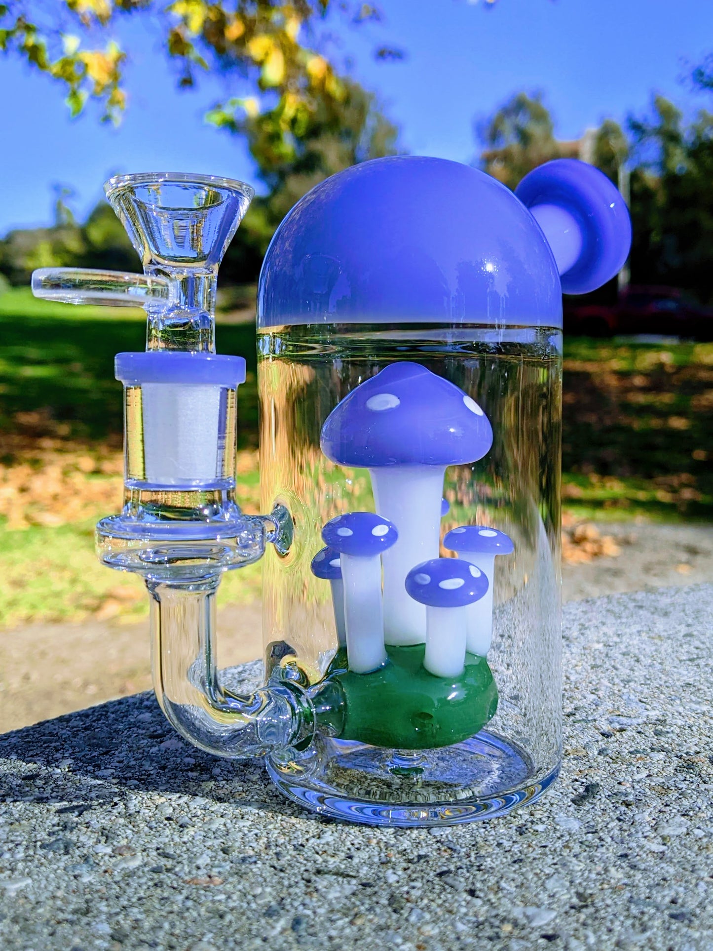 6" Blue Capsule Mushroom Forest Rig