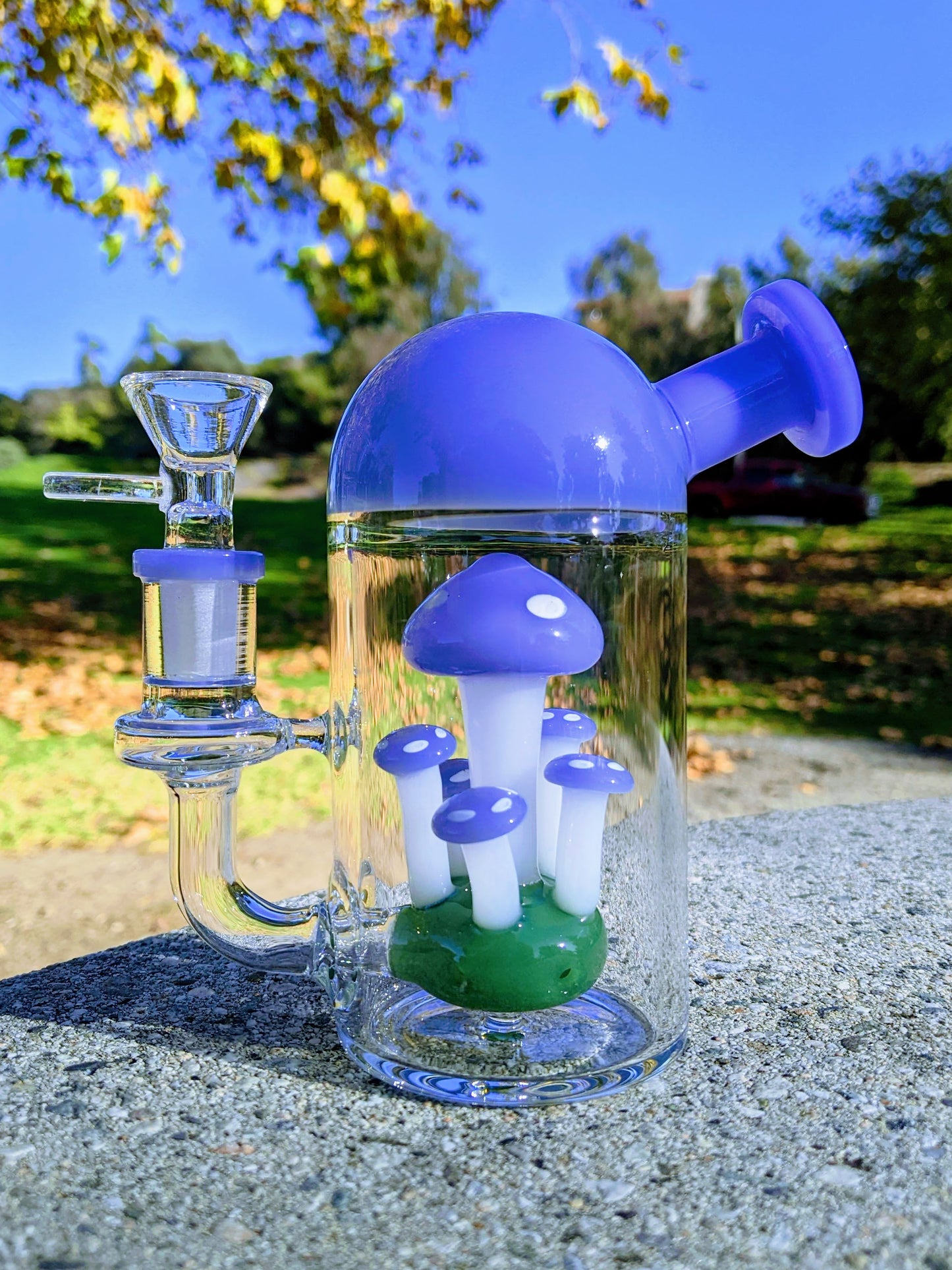 6" Blue Capsule Mushroom Forest Rig