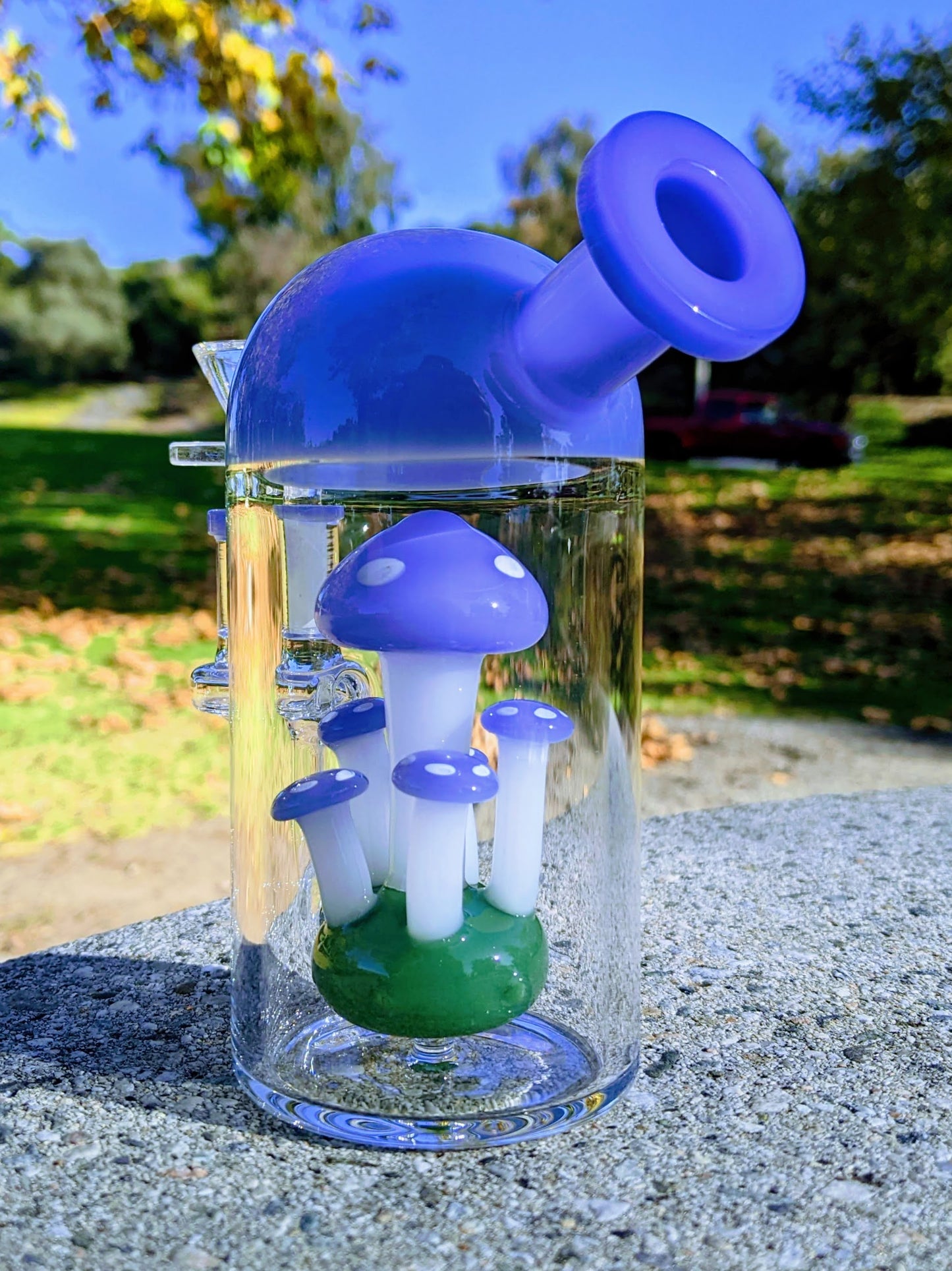 6" Blue Capsule Mushroom Forest Rig