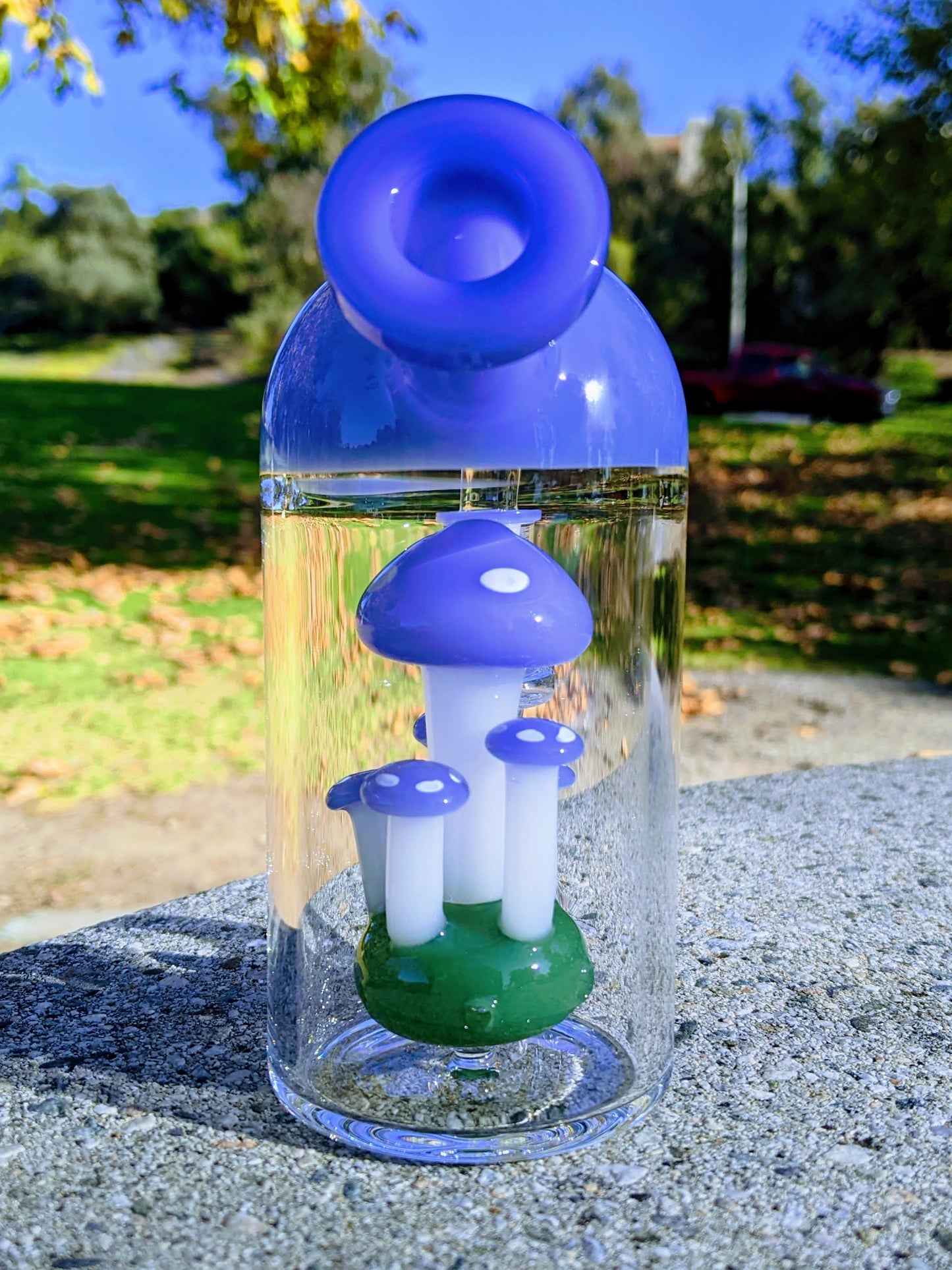 6" Blue Capsule Mushroom Forest Rig