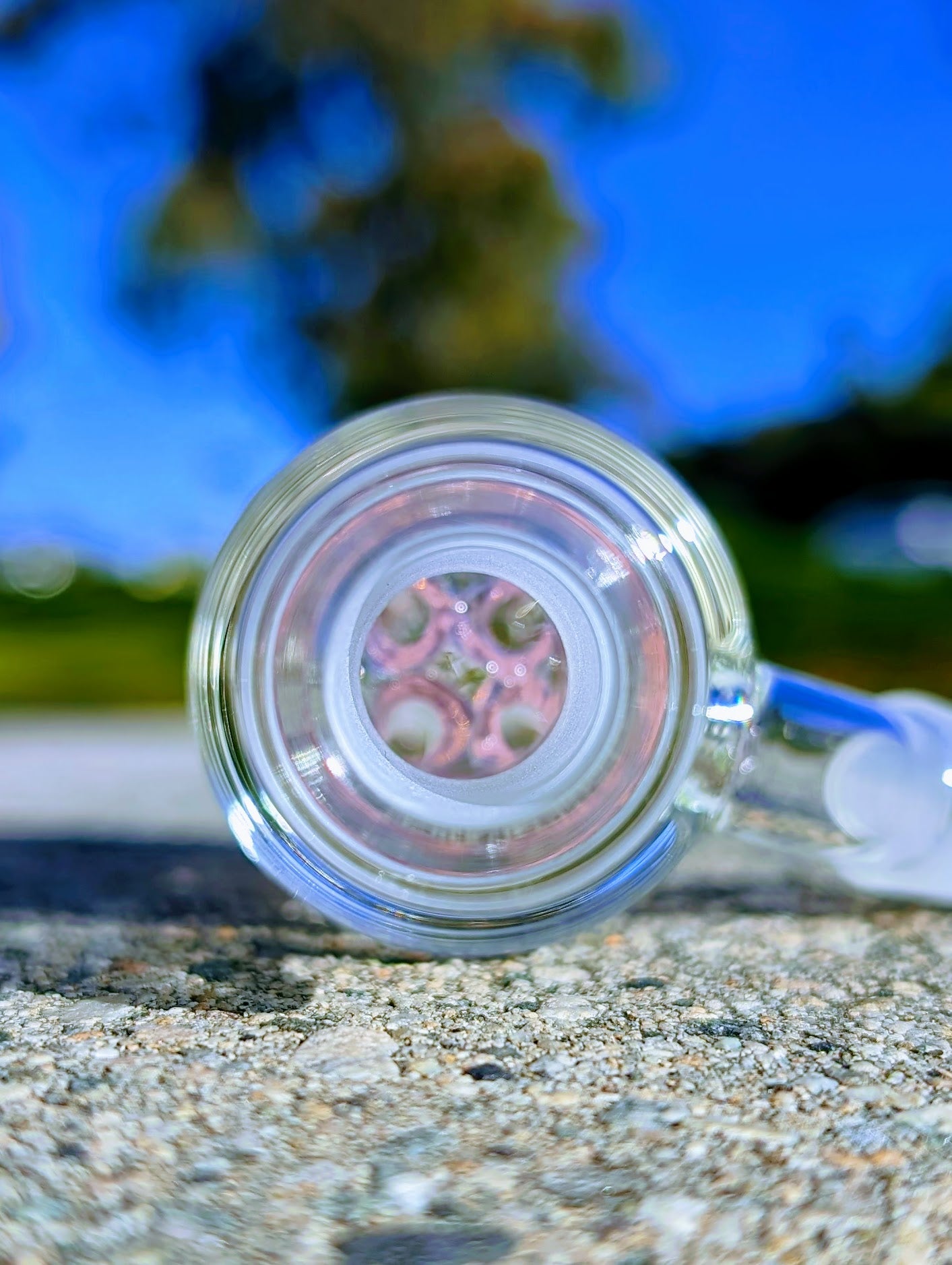 4" 14mm 45° Pink Quad Tree Perc Ash Catcher