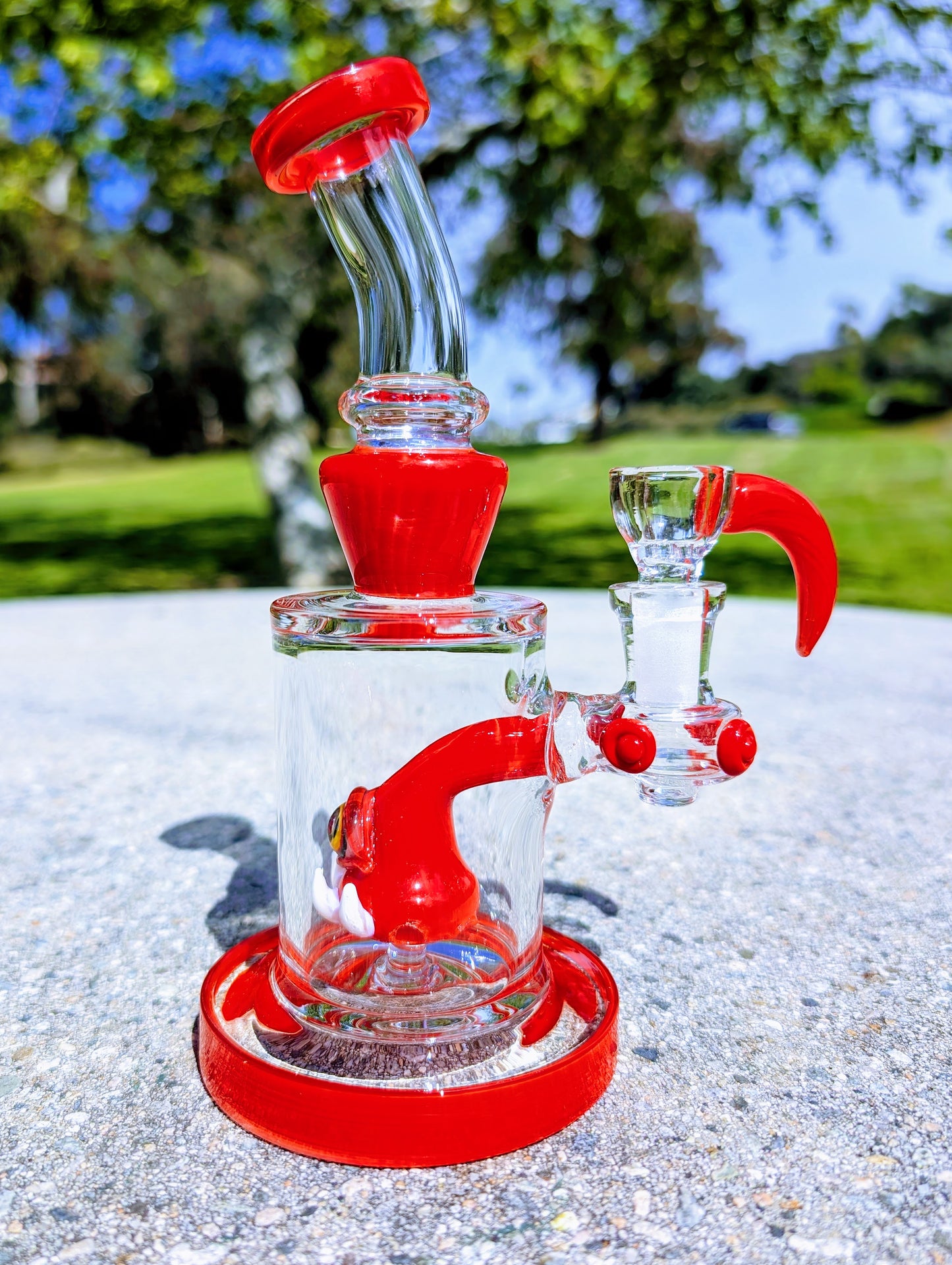 8" Ruby Cyclops Rig & Matching Screen Filter Bowl