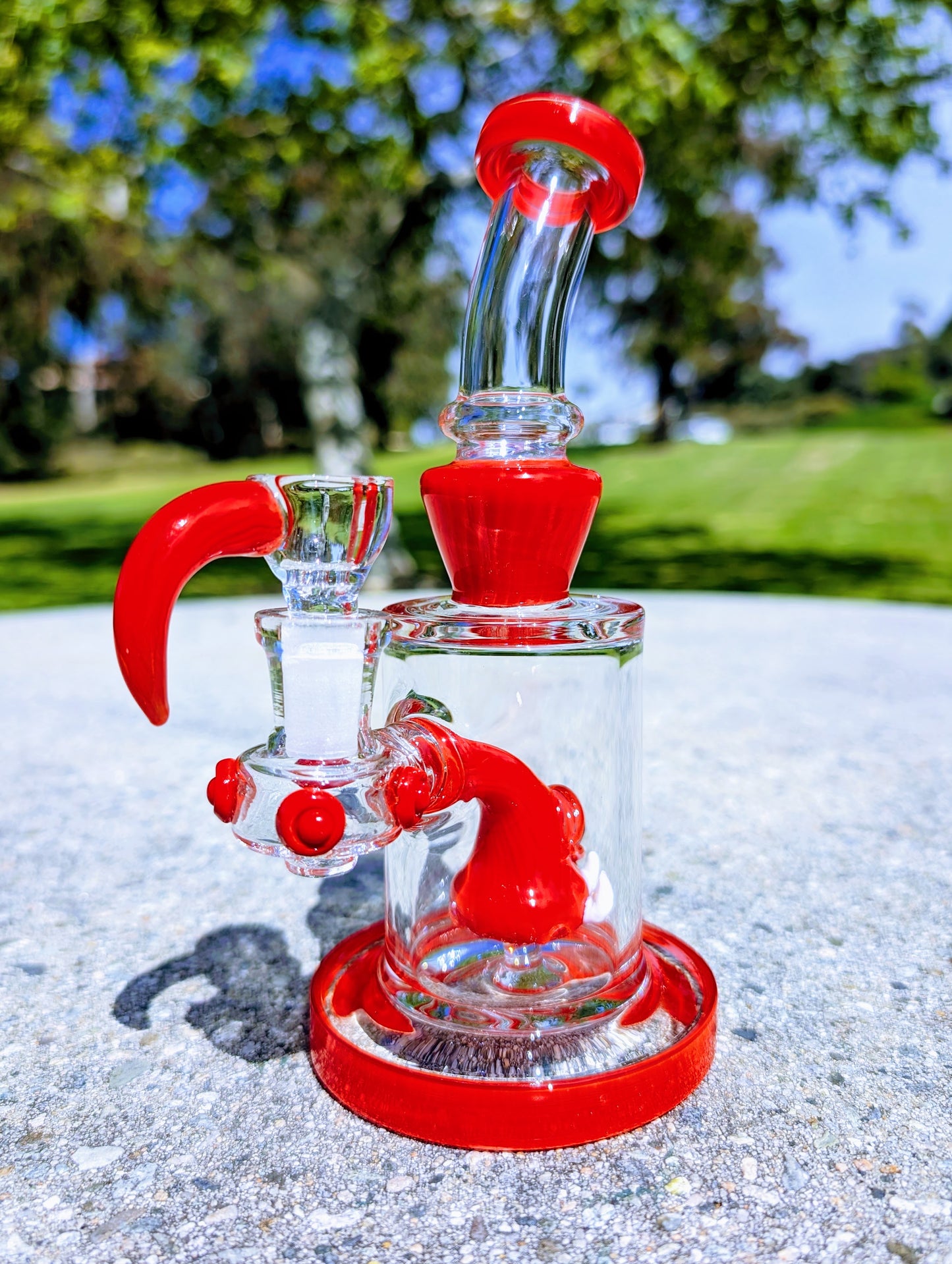 8" Ruby Cyclops Rig & Matching Screen Filter Bowl