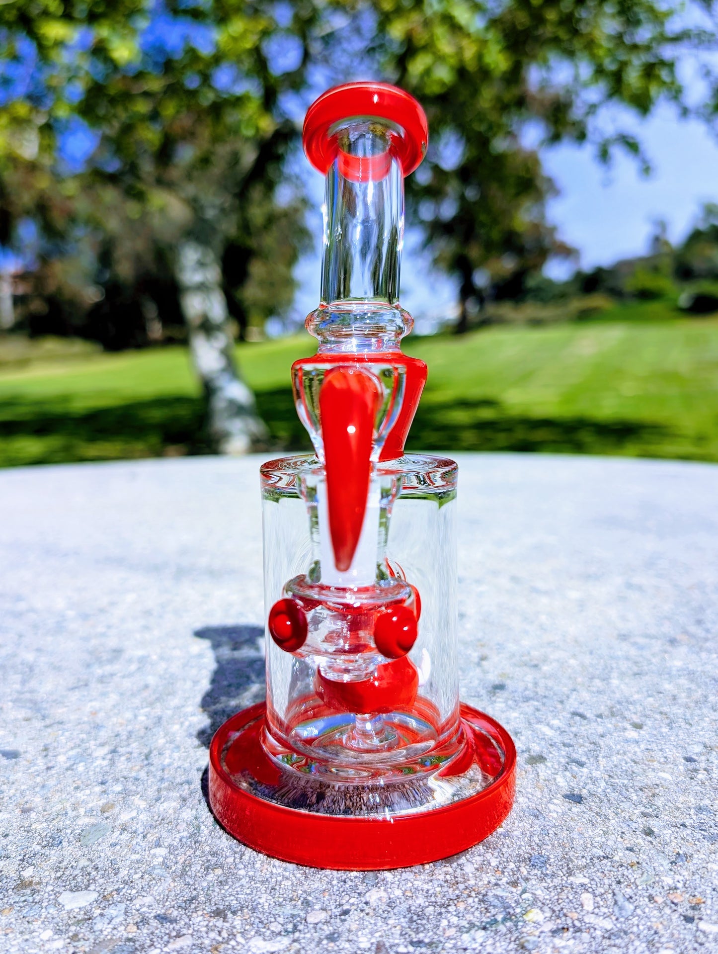 8" Ruby Cyclops Rig & Matching Screen Filter Bowl