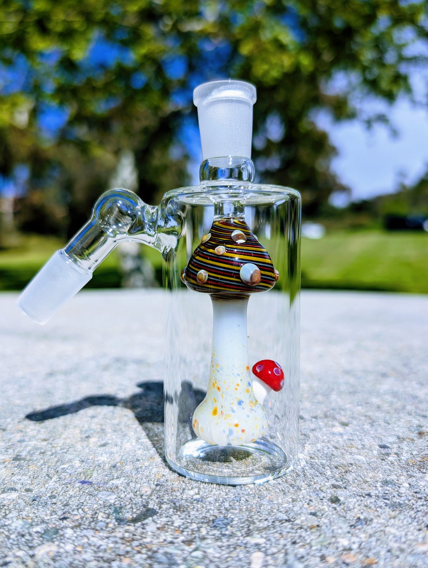 5" 14mm 45° Rainbow Mushroom Perc Ash Catcher