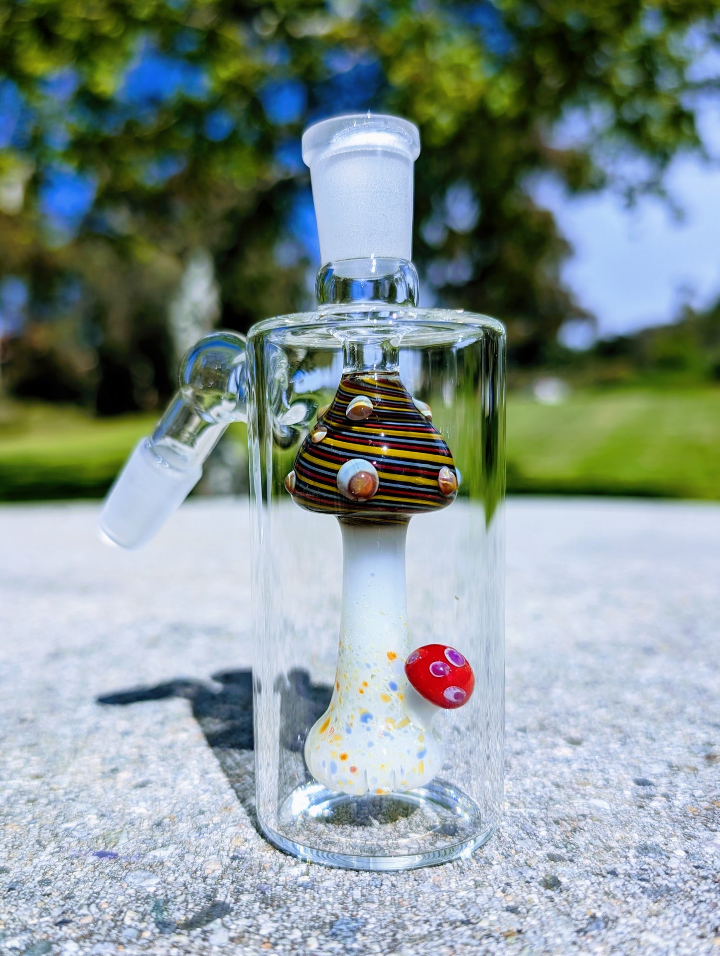 5" 14mm 45° Rainbow Mushroom Perc Ash Catcher