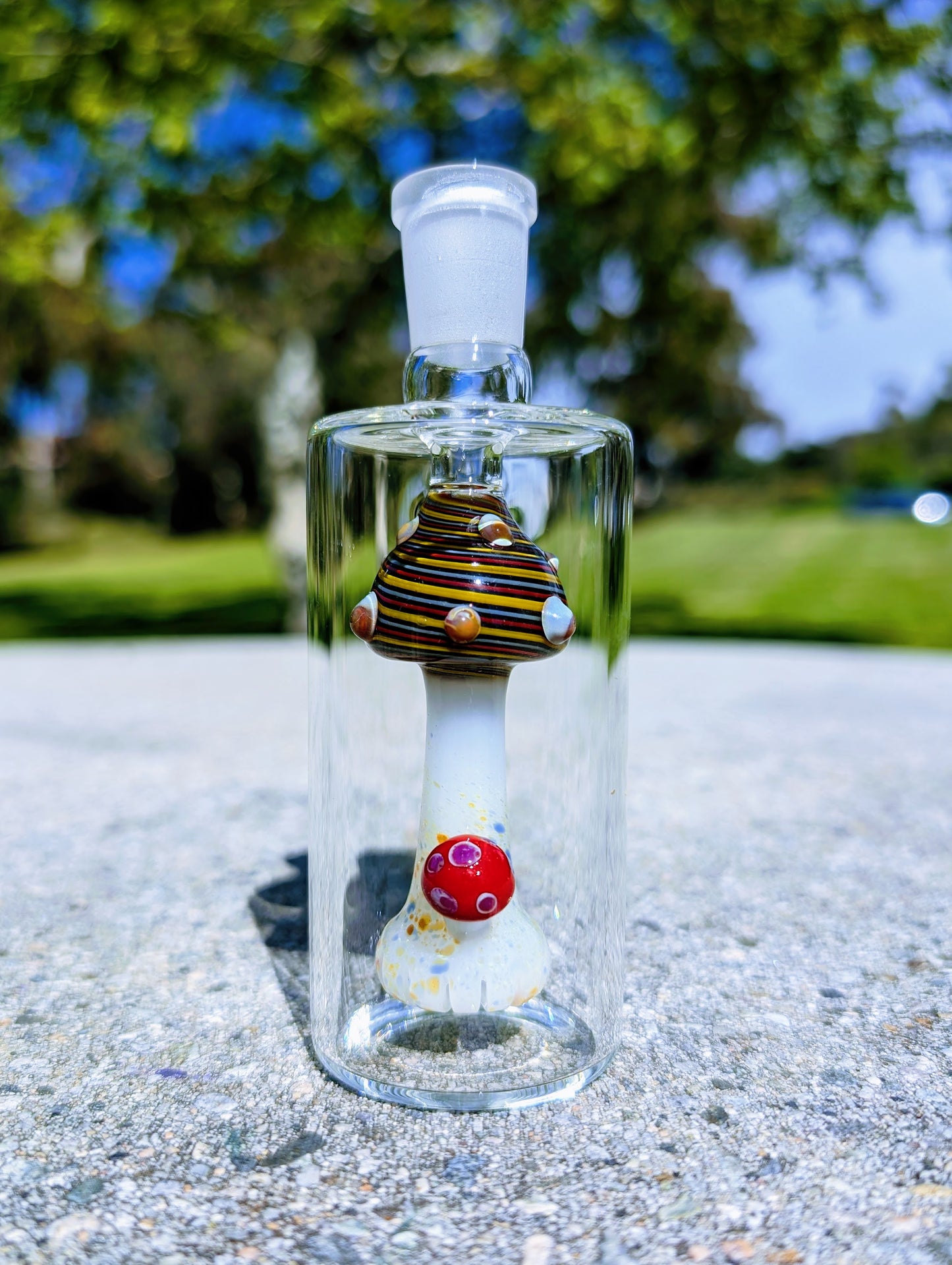 5" 14mm 45° Rainbow Mushroom Perc Ash Catcher