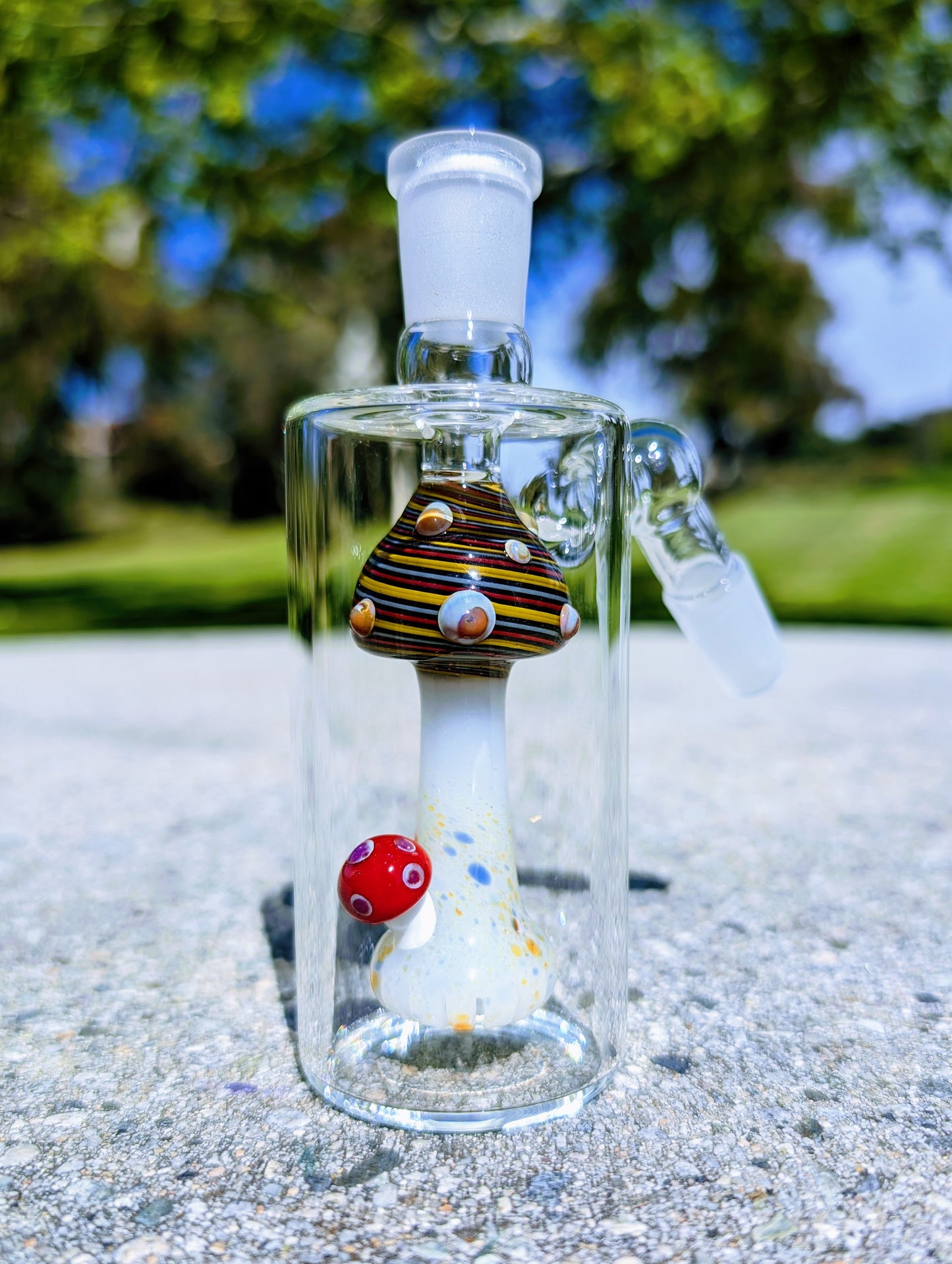 5" 14mm 45° Rainbow Mushroom Perc Ash Catcher