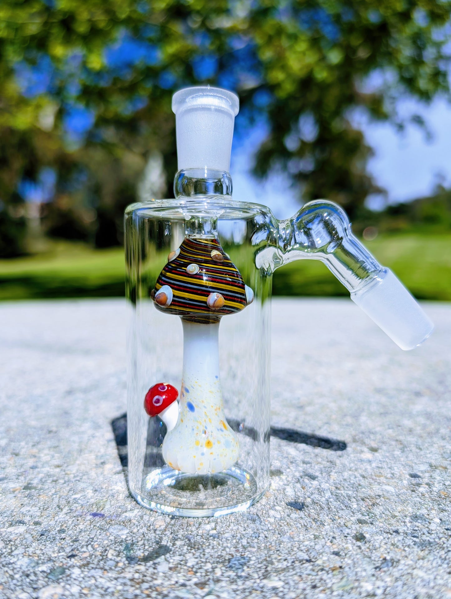 5" 14mm 45° Rainbow Mushroom Perc Ash Catcher