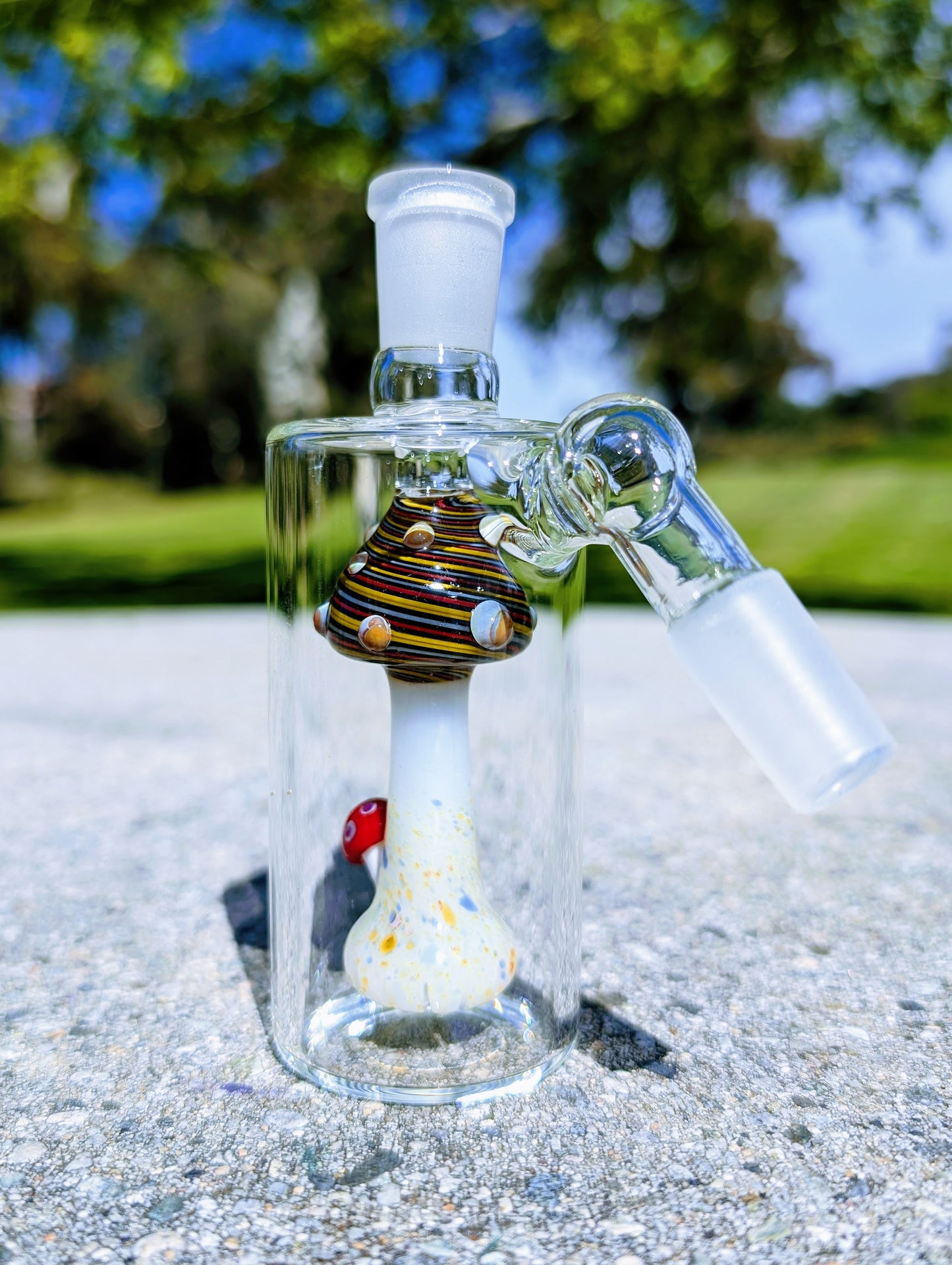 5" 14mm 45° Rainbow Mushroom Perc Ash Catcher