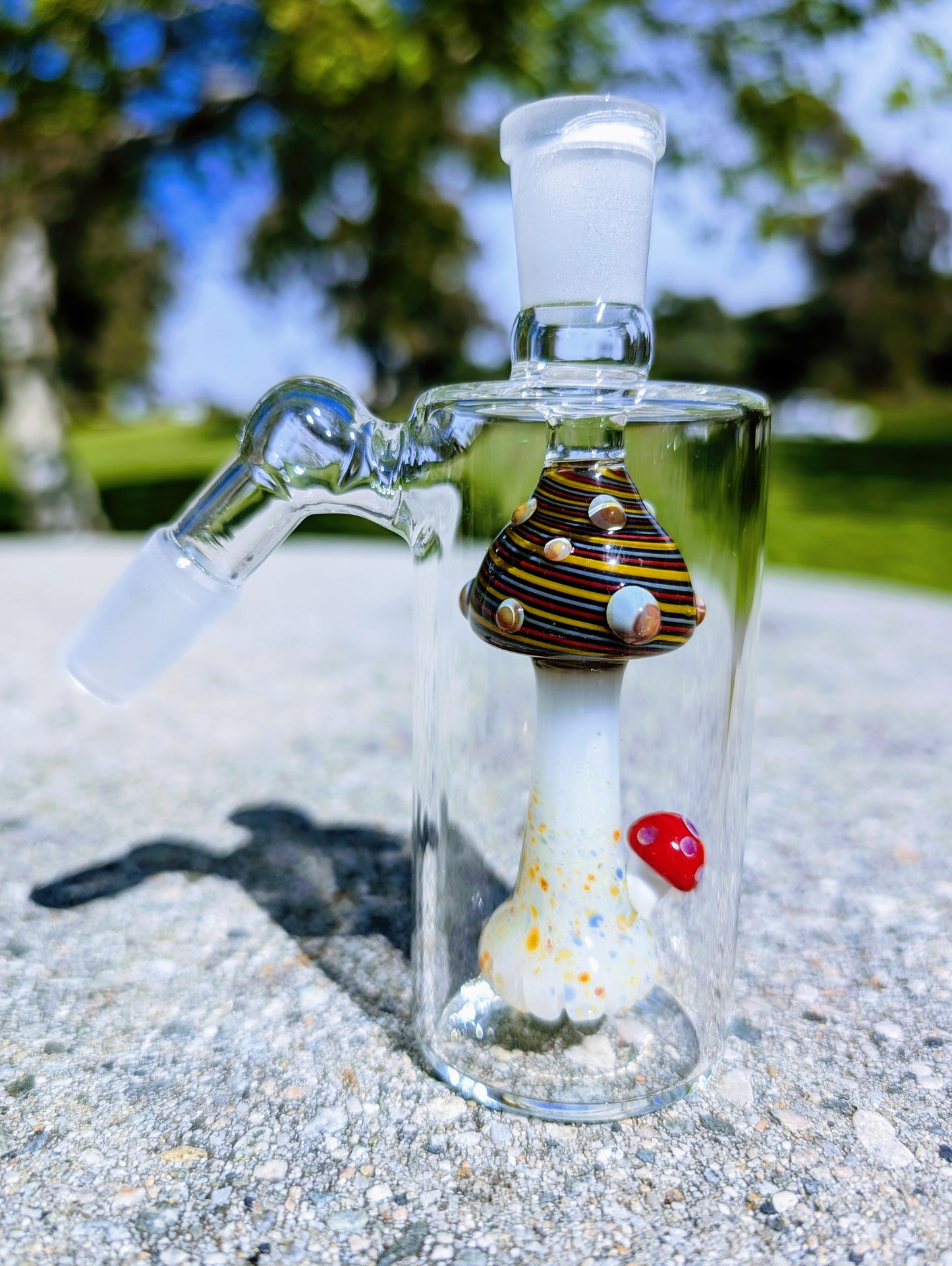 5" 14mm 45° Rainbow Mushroom Perc Ash Catcher