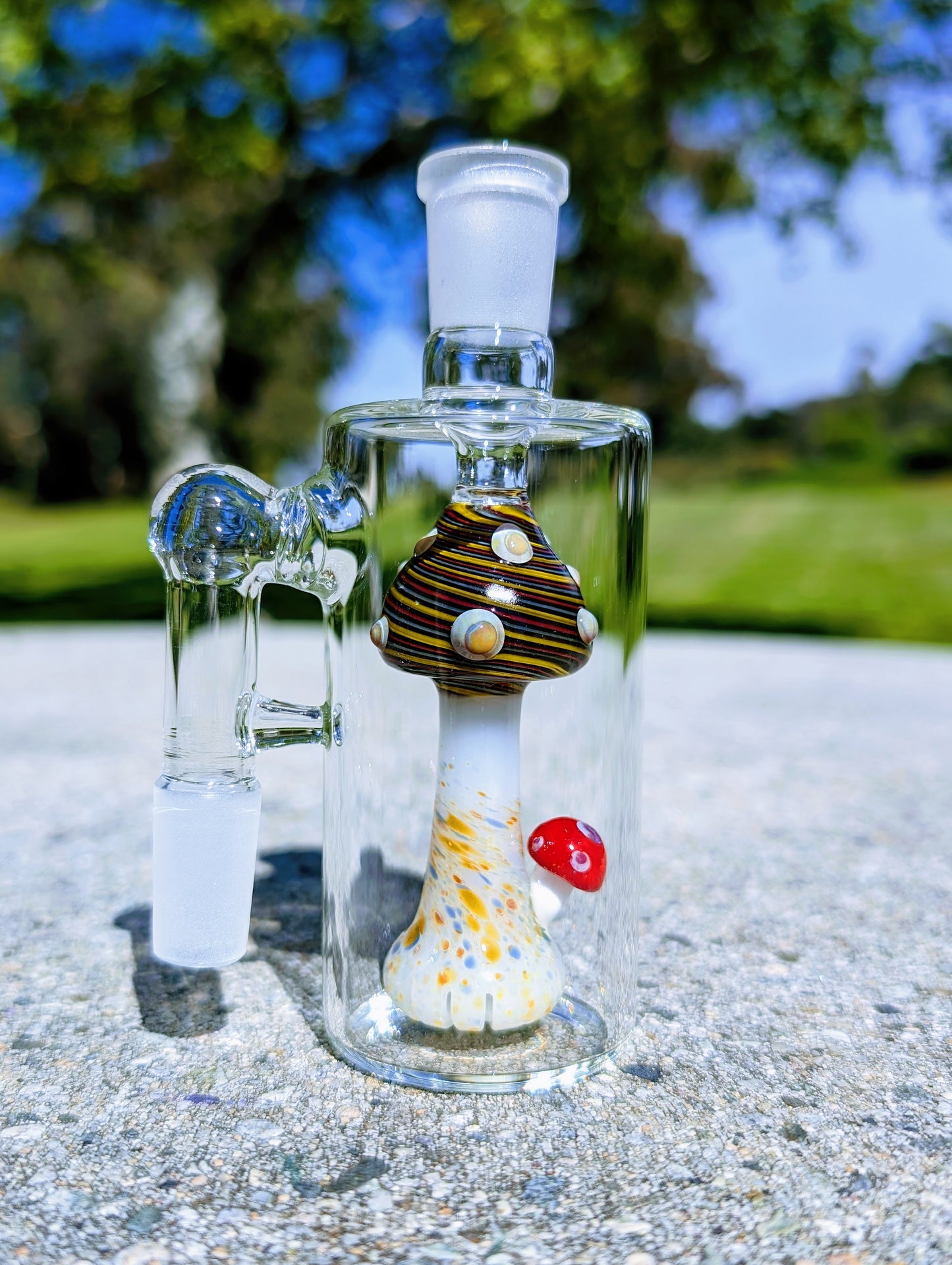 5" 14mm 90° Rainbow Mushroom Perc Ash Catcher