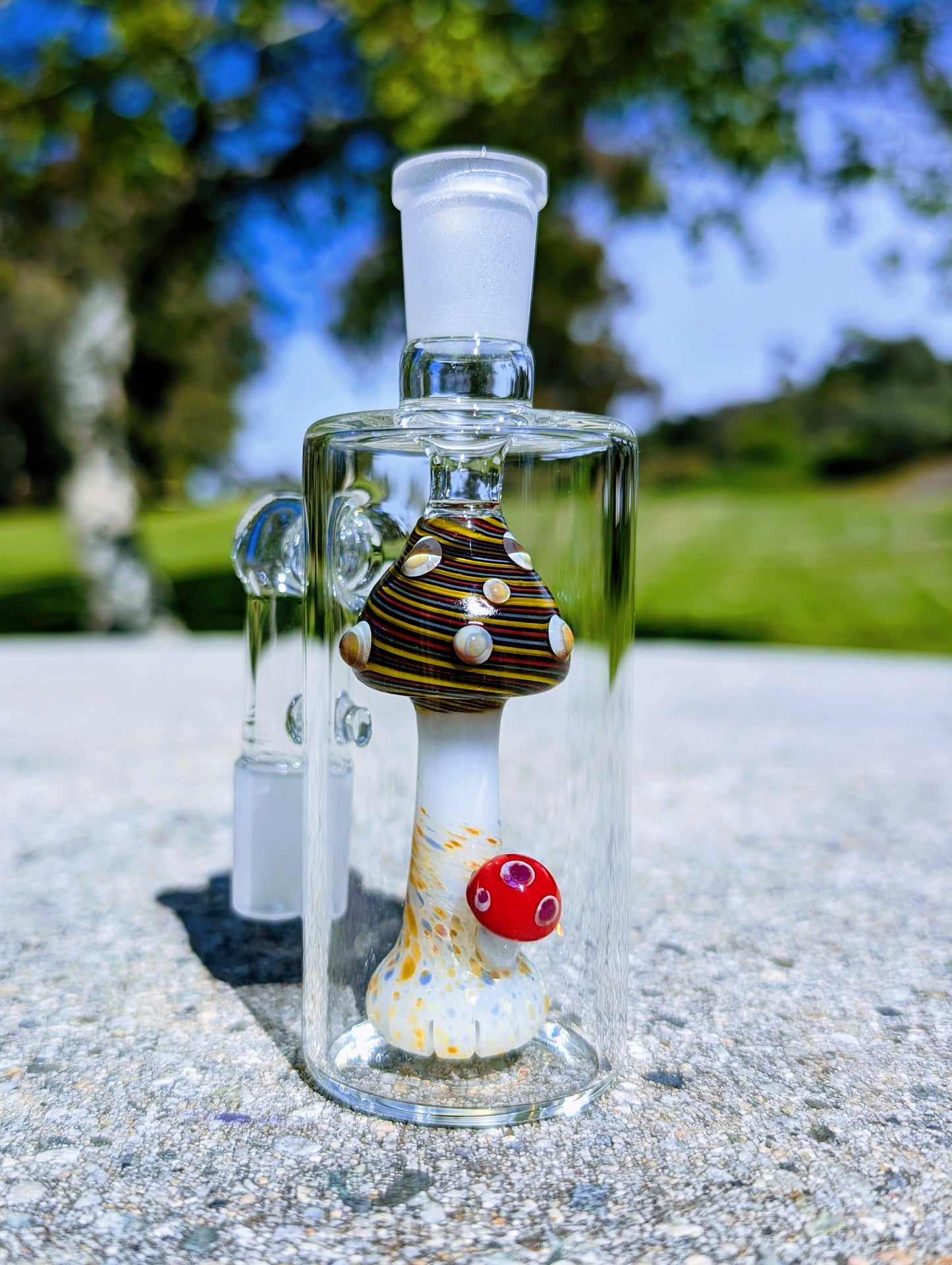 5" 14mm 90° Rainbow Mushroom Perc Ash Catcher