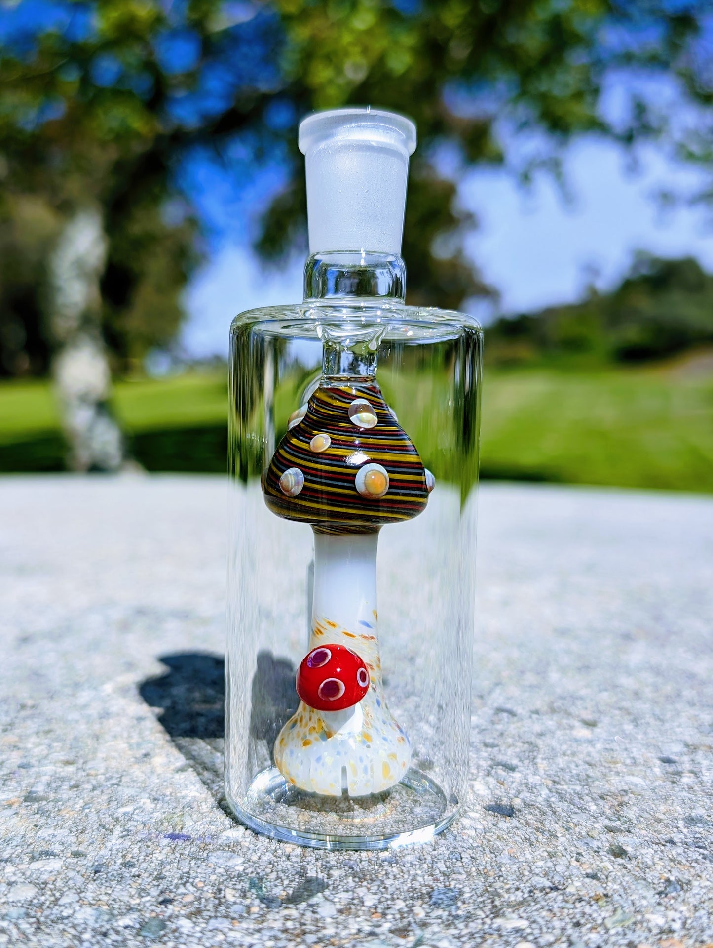 5" 14mm 90° Rainbow Mushroom Perc Ash Catcher