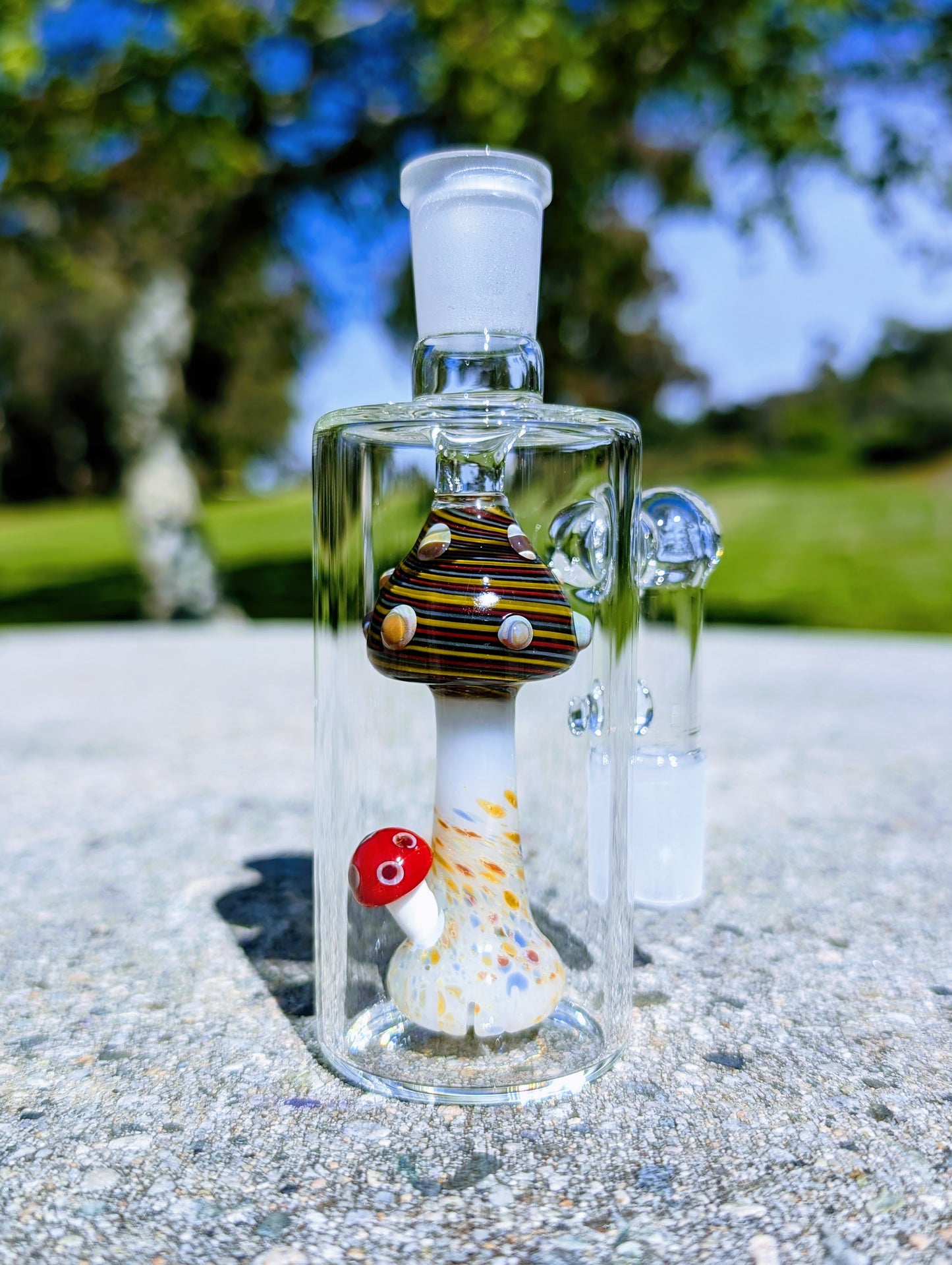 5" 14mm 90° Rainbow Mushroom Perc Ash Catcher