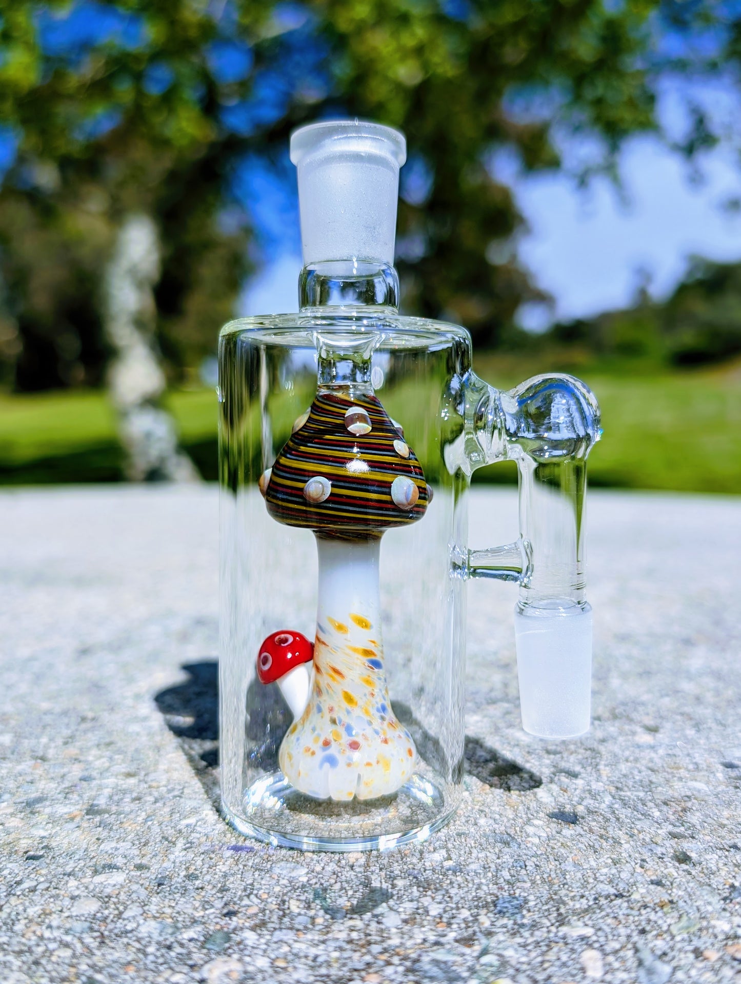 5" 14mm 90° Rainbow Mushroom Perc Ash Catcher