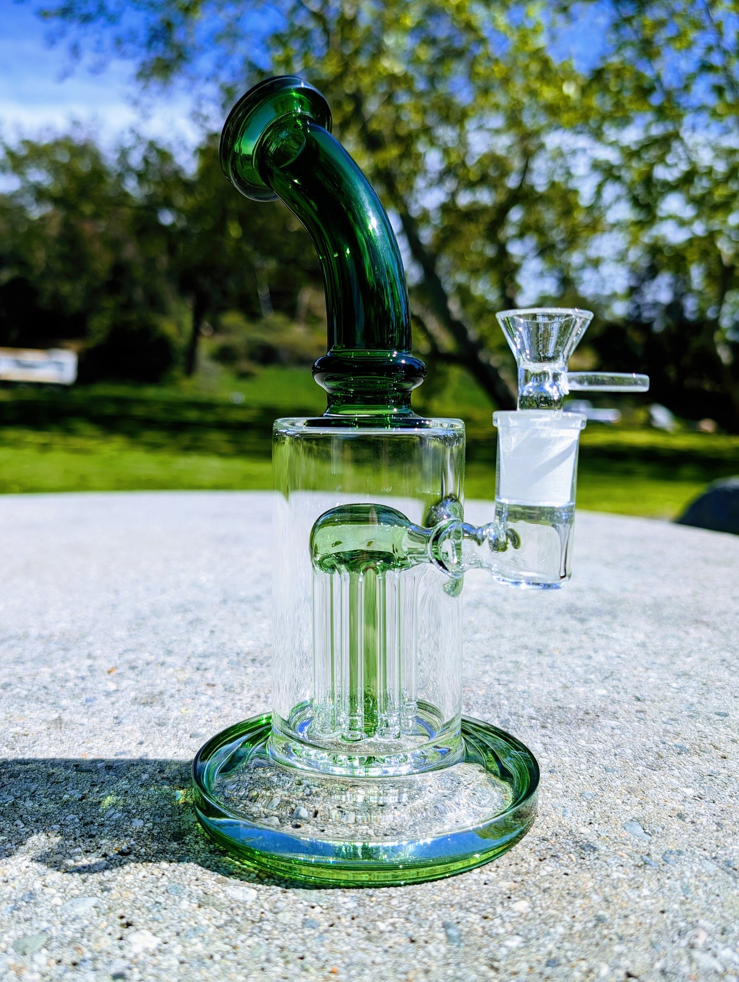 9" Green Tree Percolator Rig