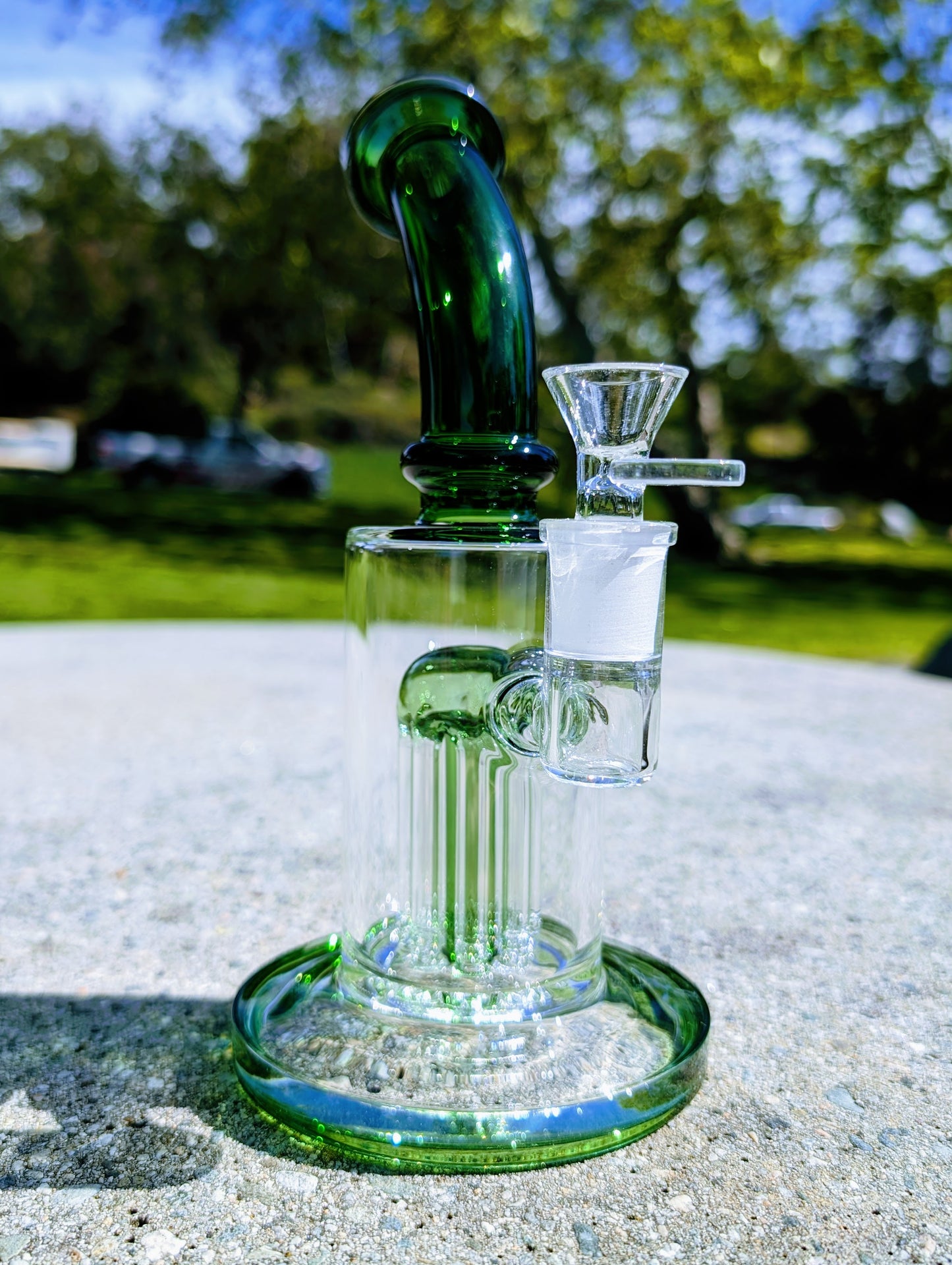 9" Green Tree Percolator Rig