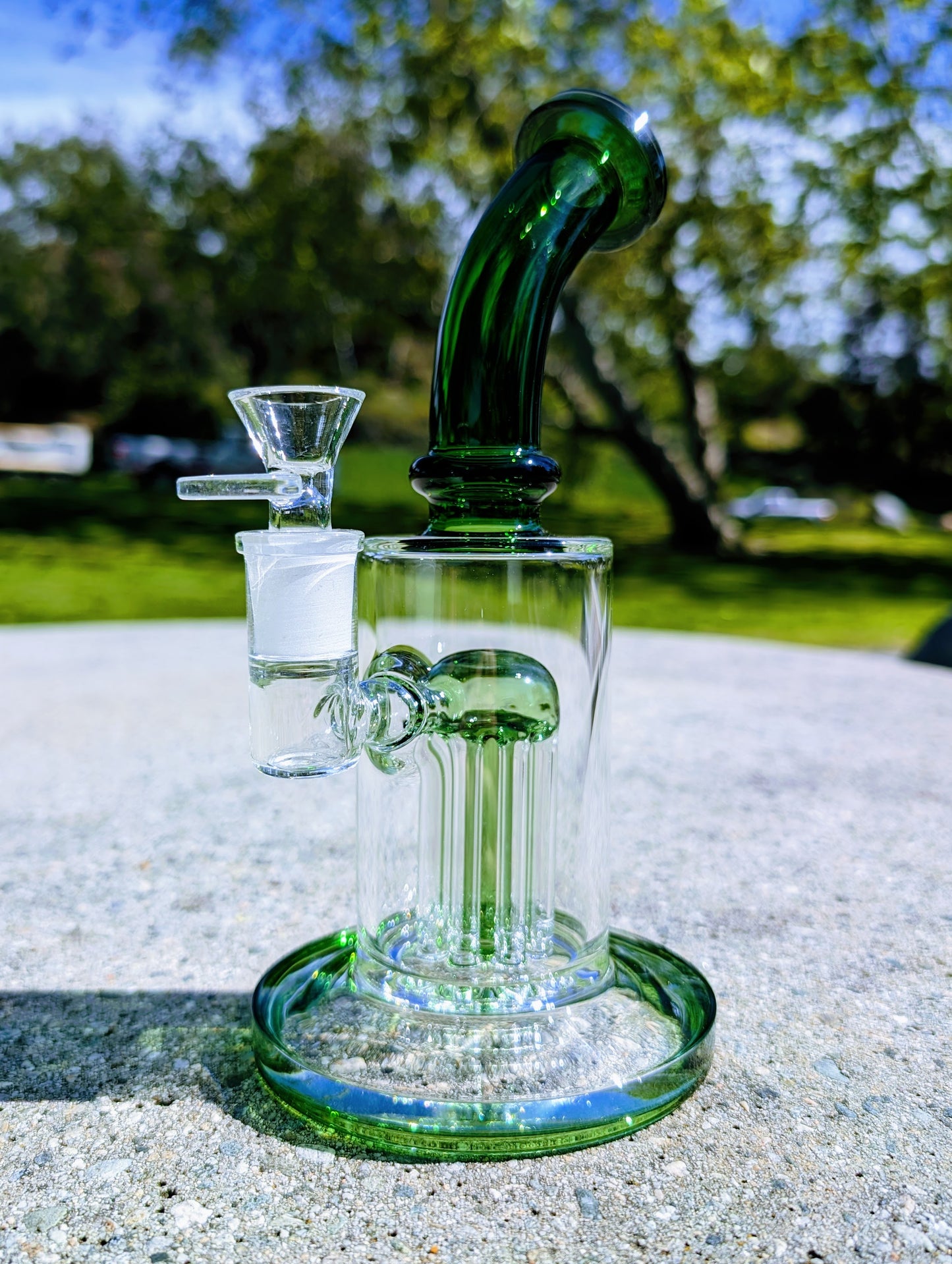 9" Green Tree Percolator Rig
