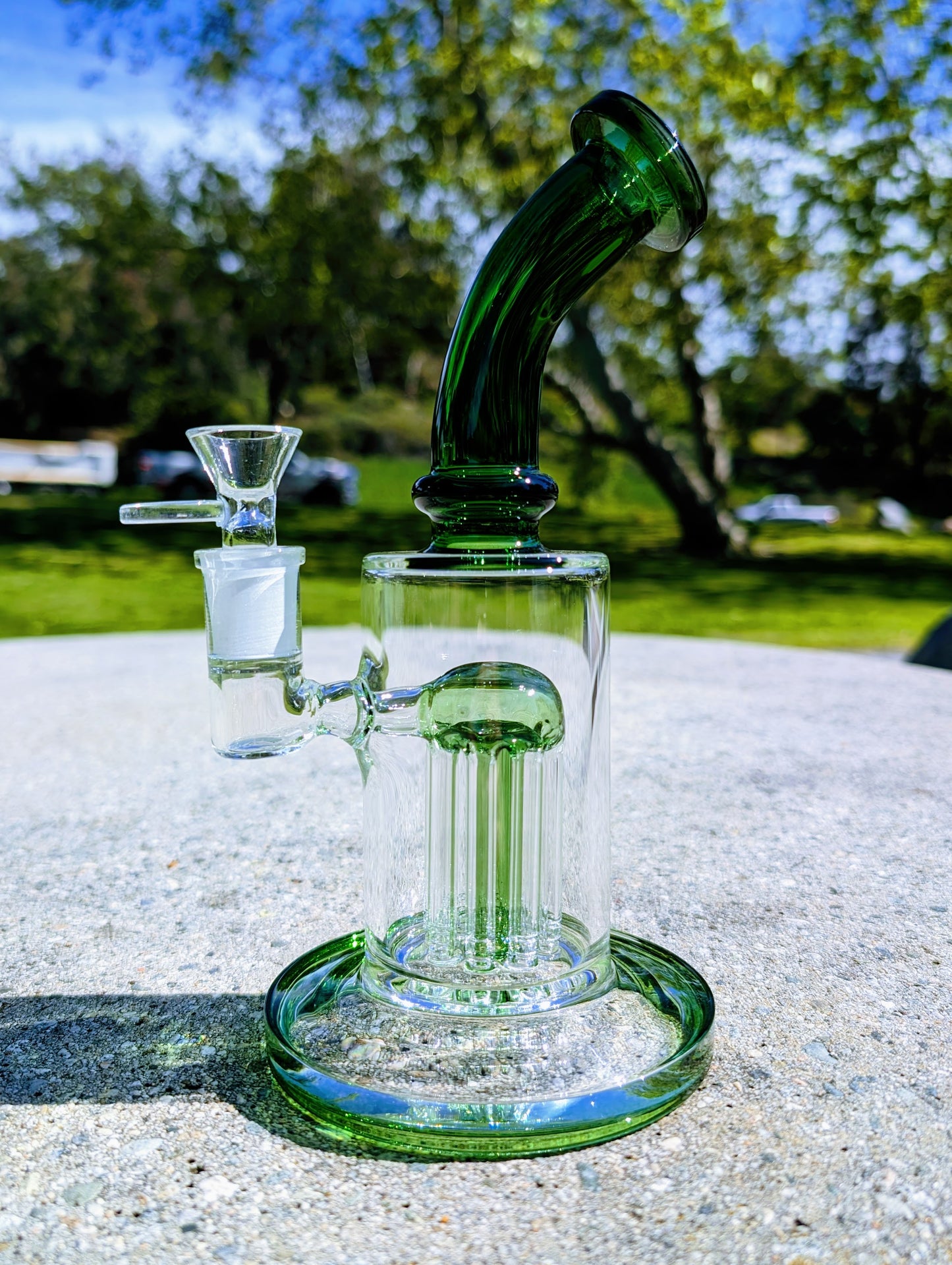 9" Green Tree Percolator Rig