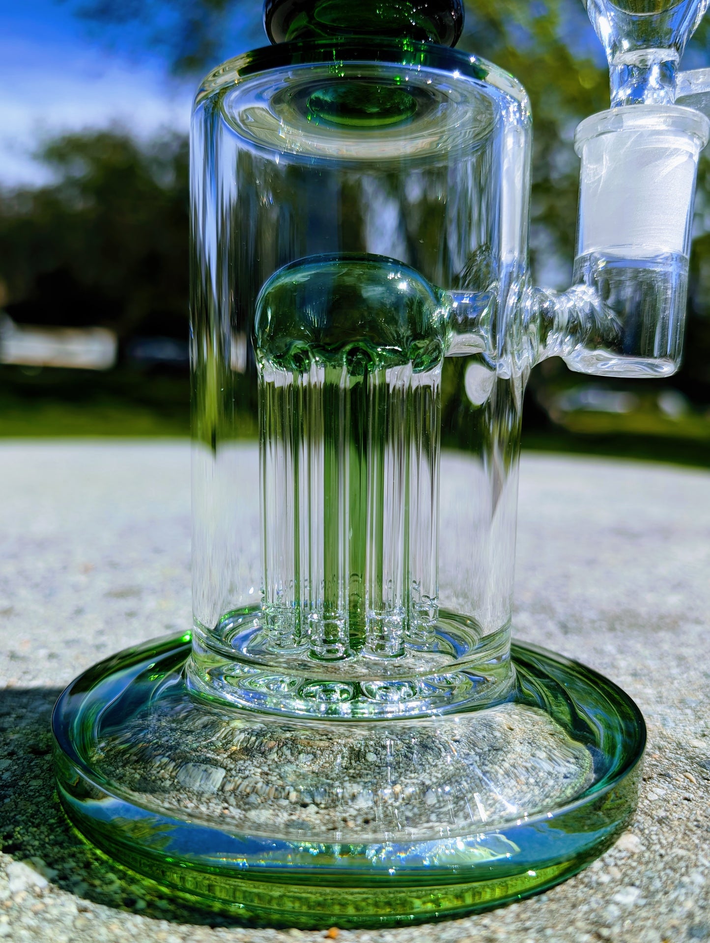 9" Green Tree Percolator Rig