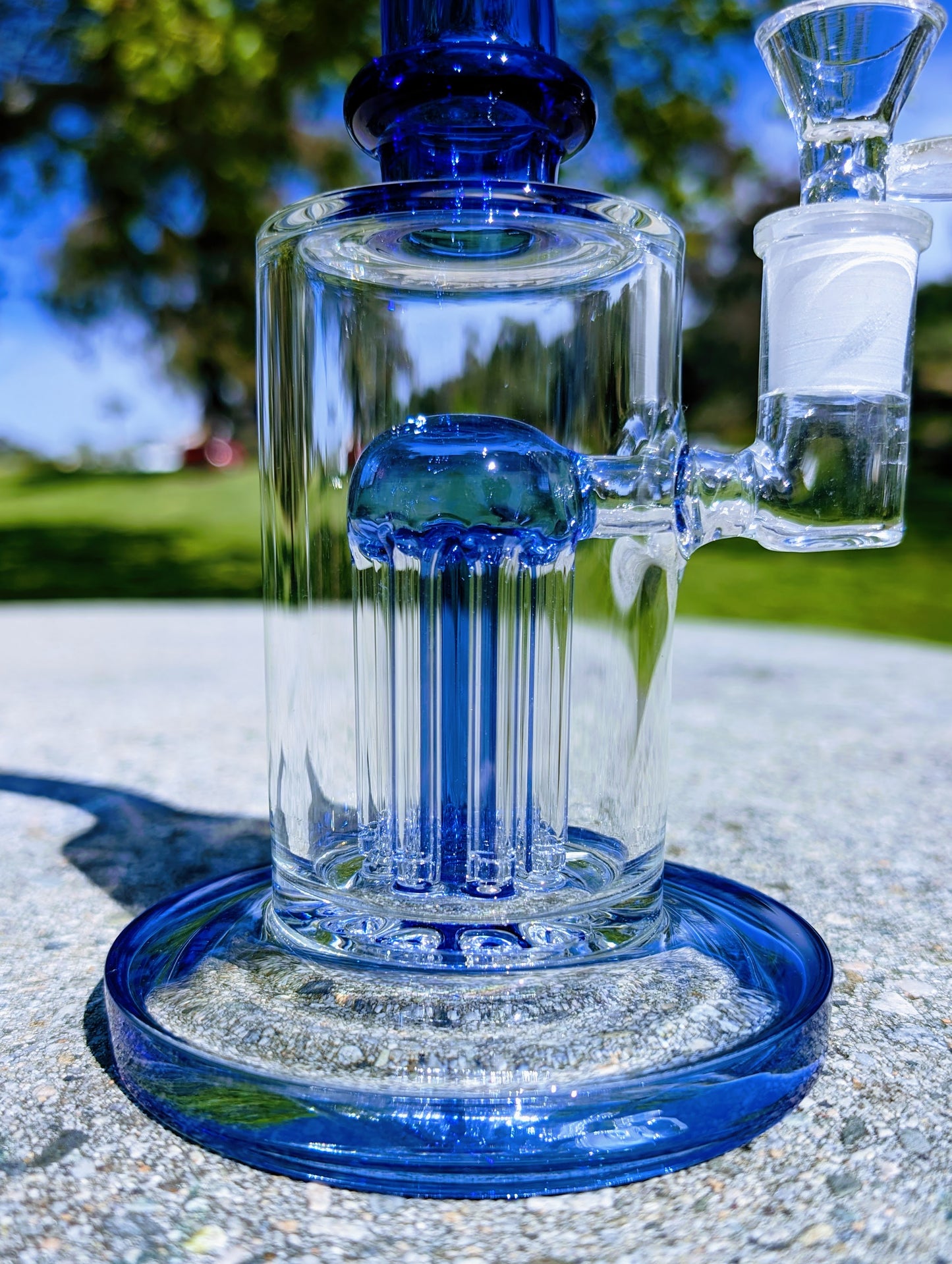 9" Blue Tree Percolator Rig