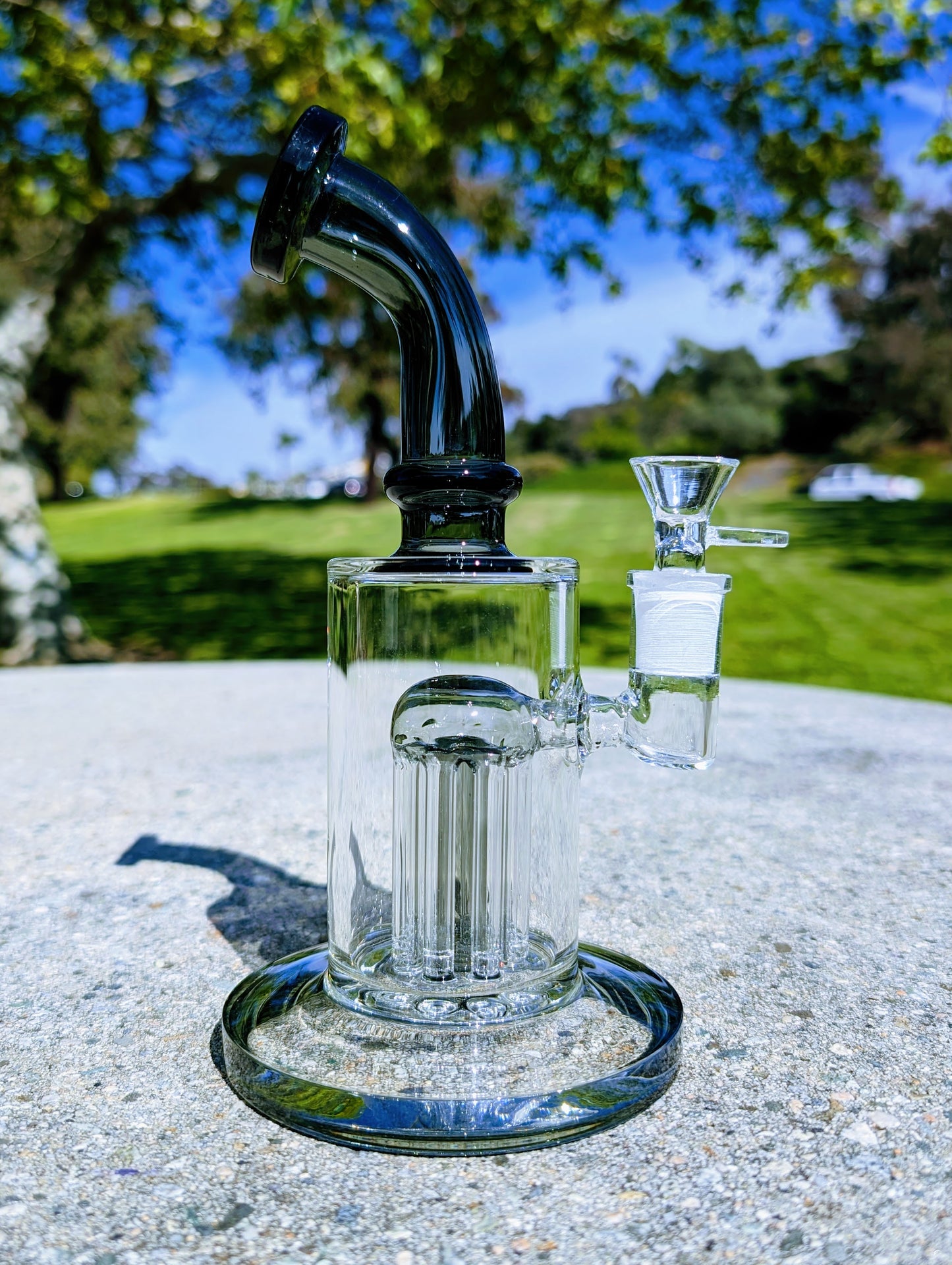 9" Black Tree Percolator Rig