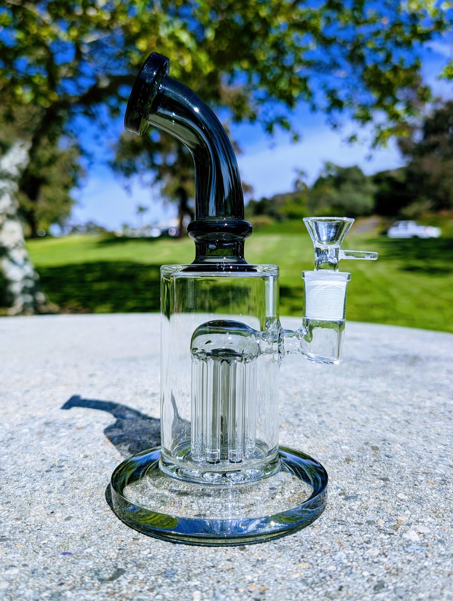 9" Black Tree Percolator Rig