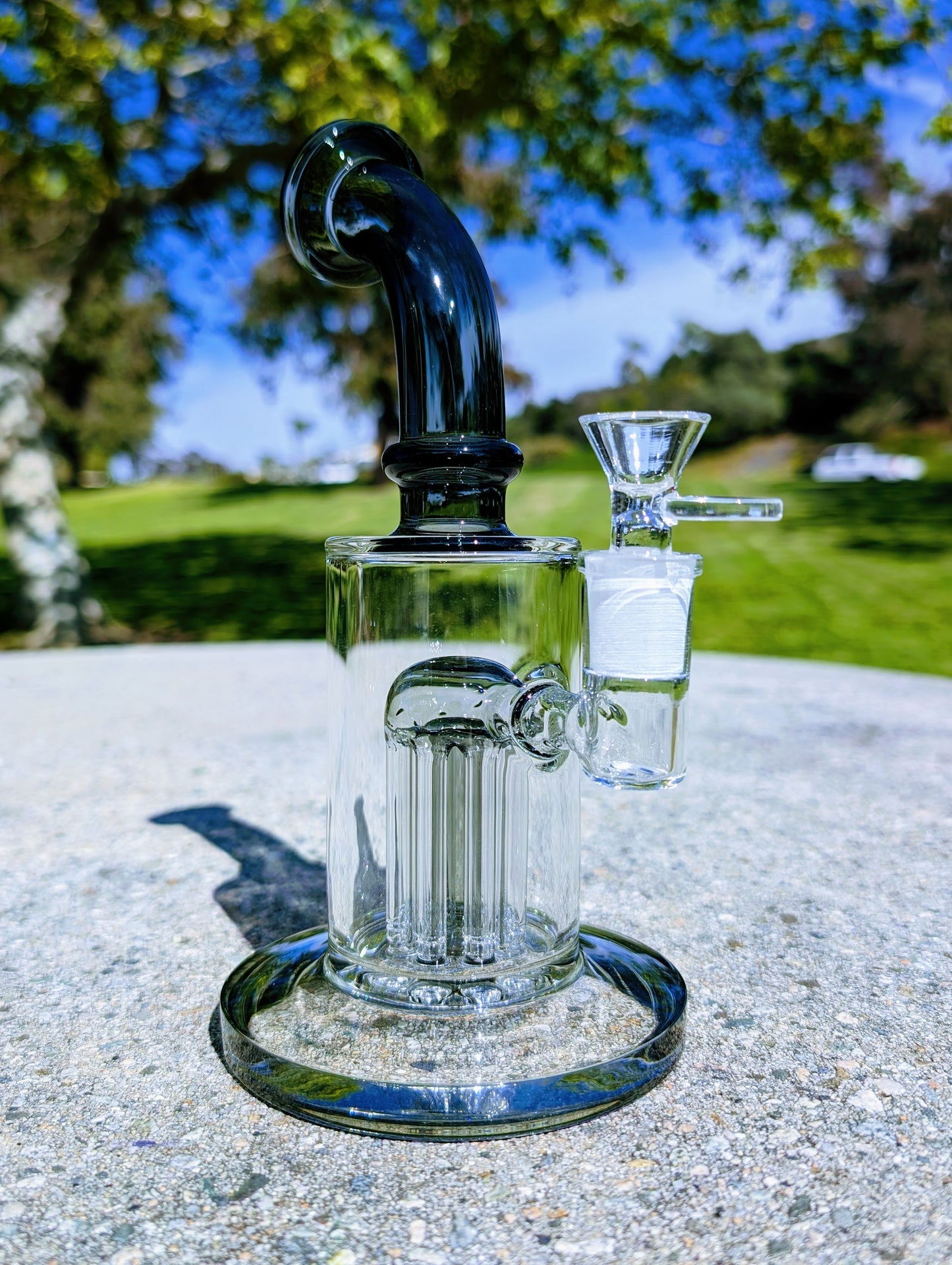 9" Black Tree Percolator Rig
