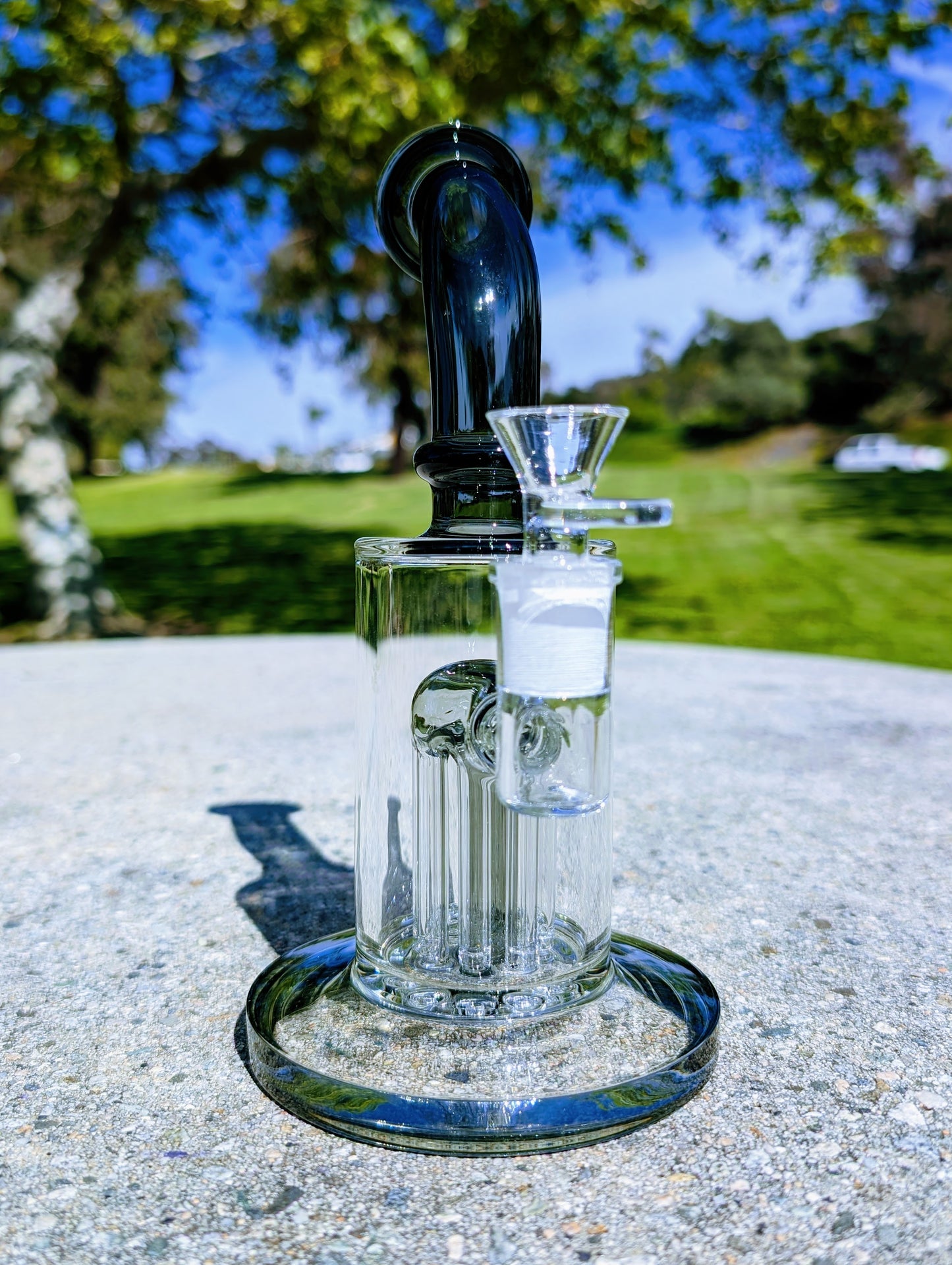 9" Black Tree Percolator Rig