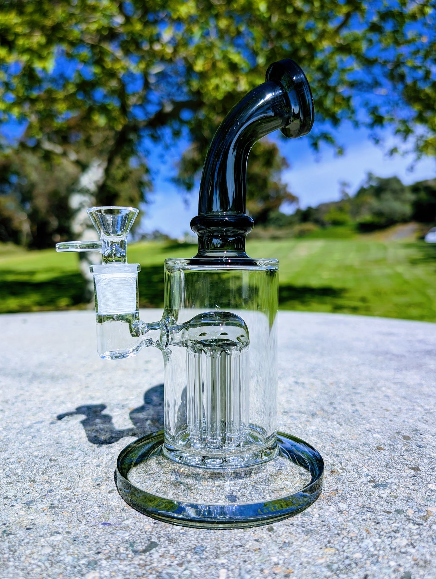 9" Black Tree Percolator Rig